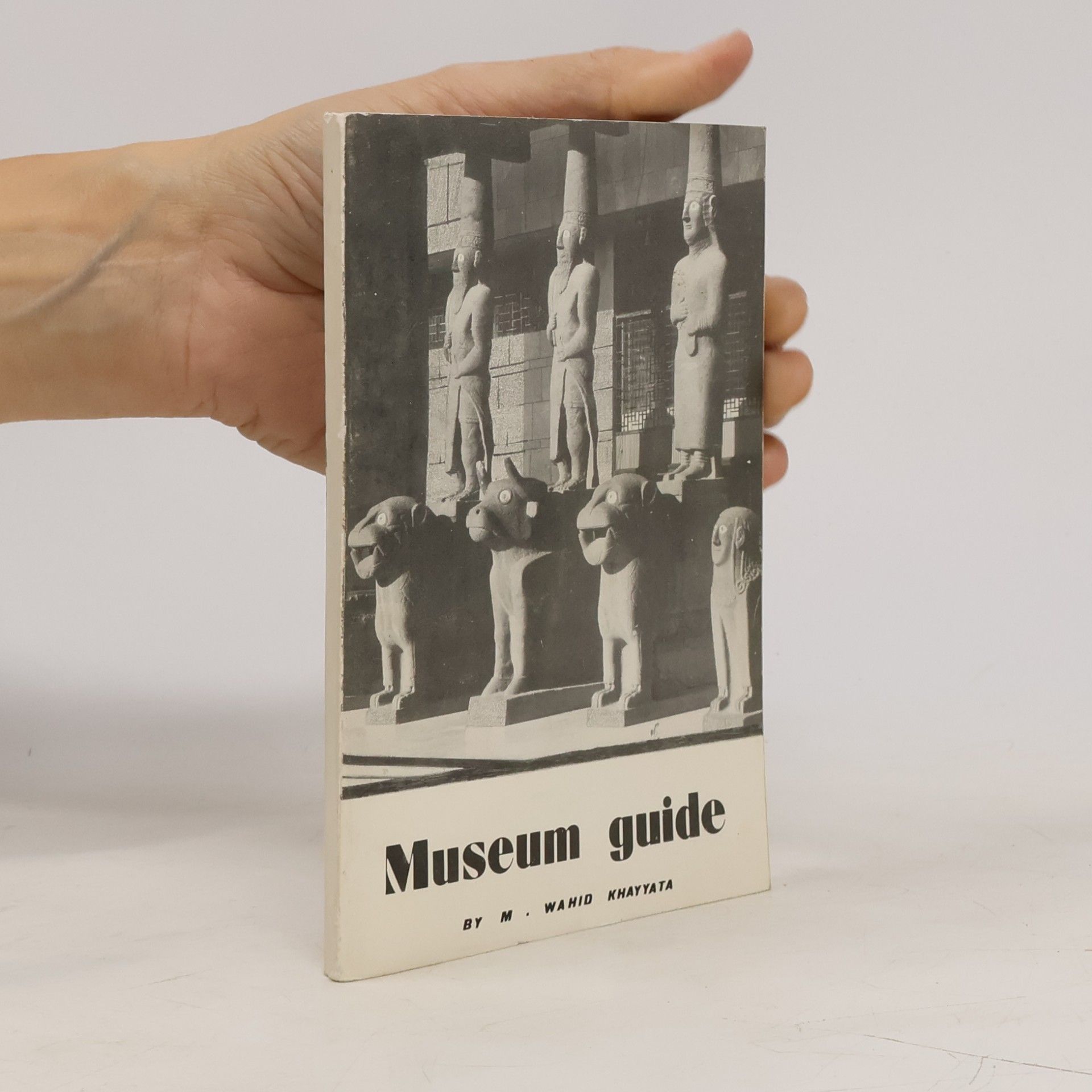 Various authors Museum Guide