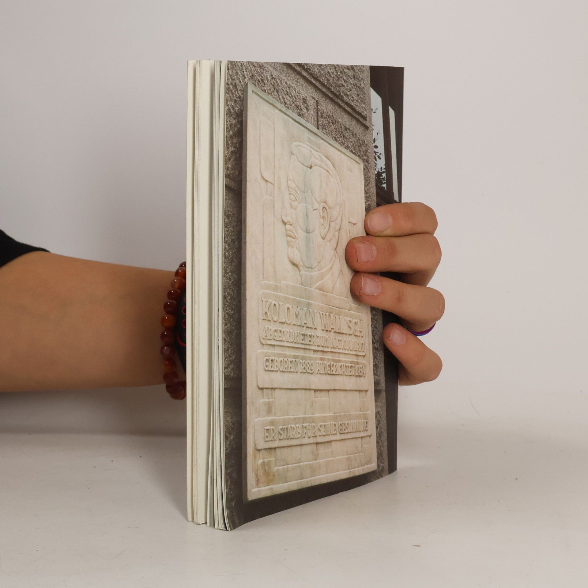 Various authors Februar 1934 - Das Wörterbuch des Schweigens