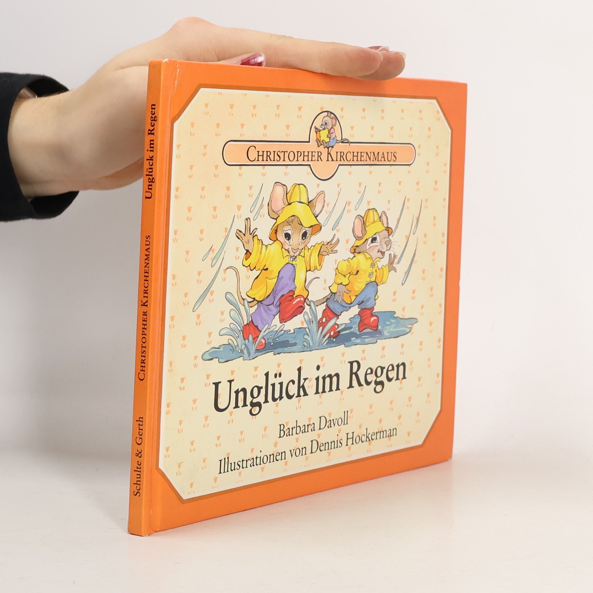 Barbara Davoll Christopher Kirchenmaus. Unglück im Regen