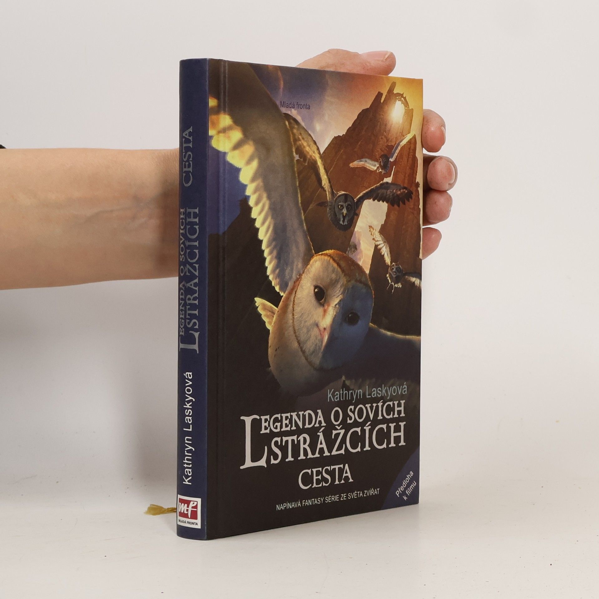 Kathryn Lasky Legenda o sovích strážcích. II., Cesta