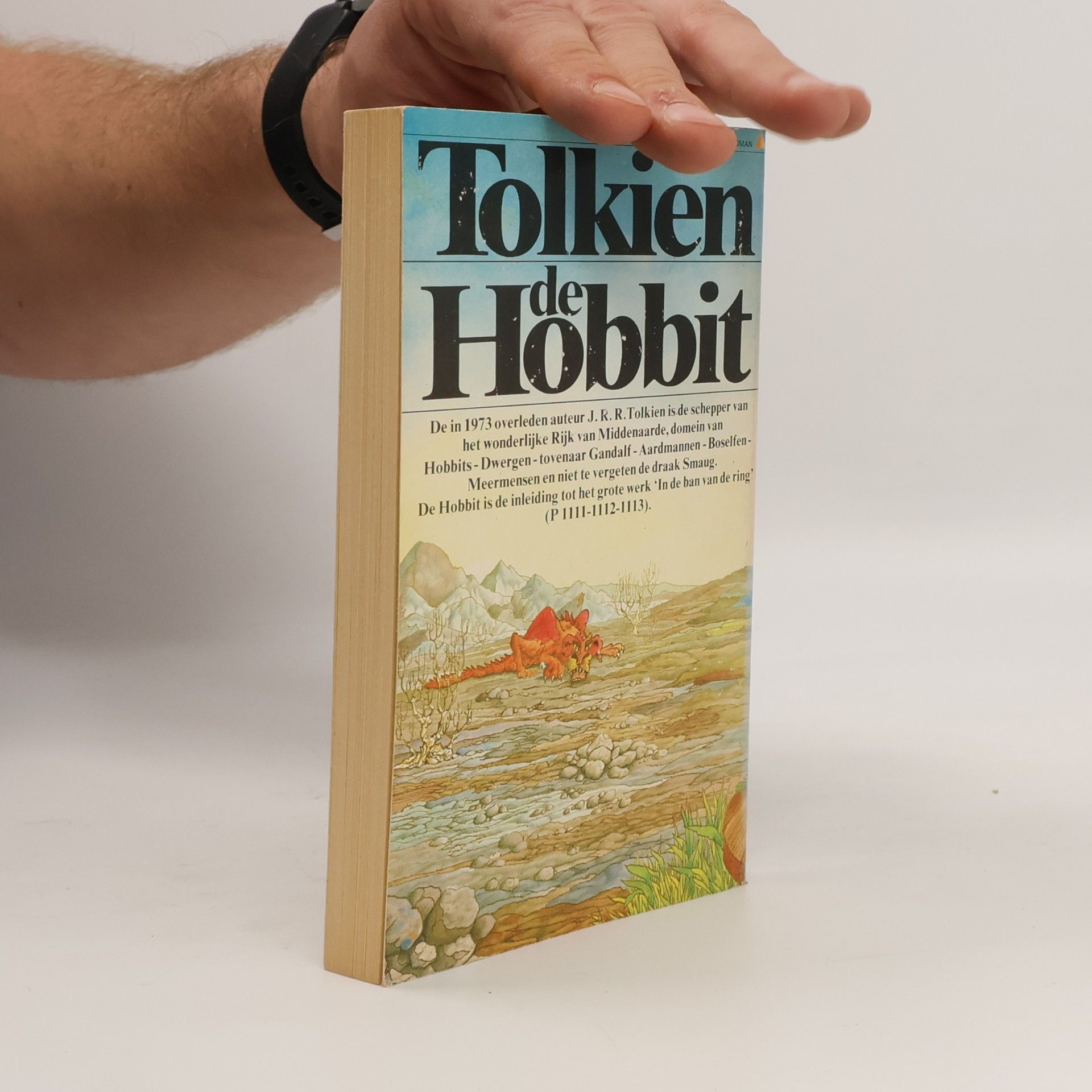 J. R. R. Tolkien De Hobbit