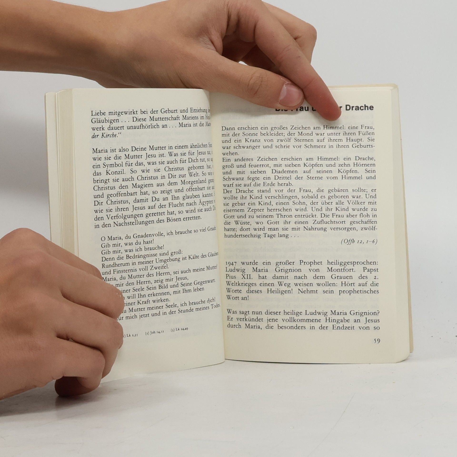 Herbert Madinger Das Geheimnis Mariens