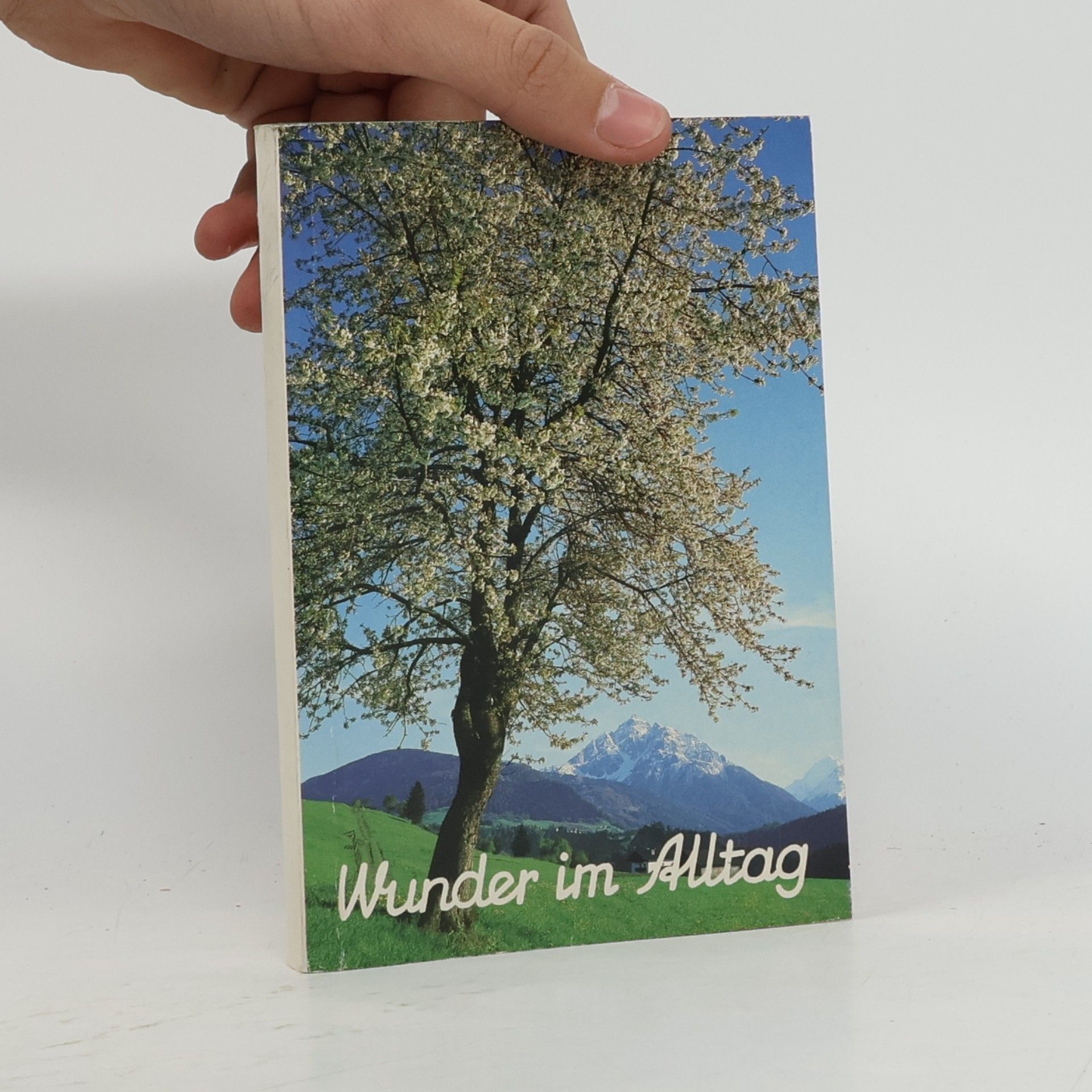 Wunder im Alltag
