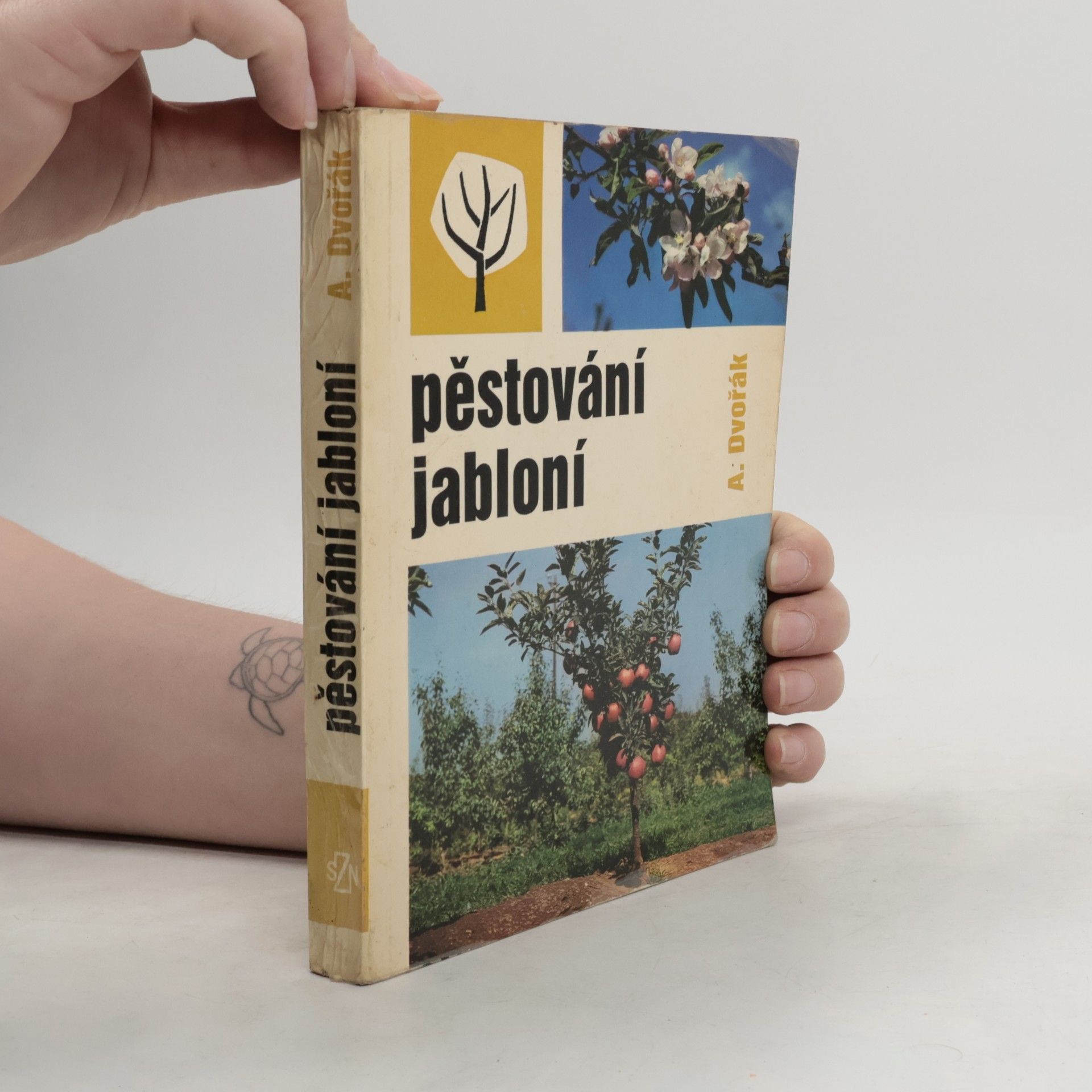 Pěstování jabloní
