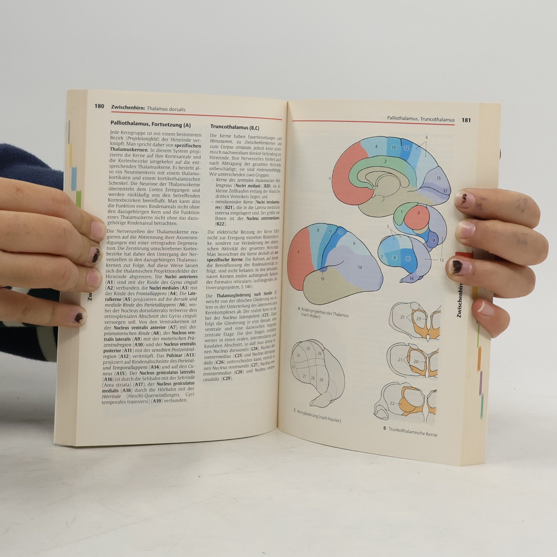 W. Werner Kahle Taschenatlas der Anatomie