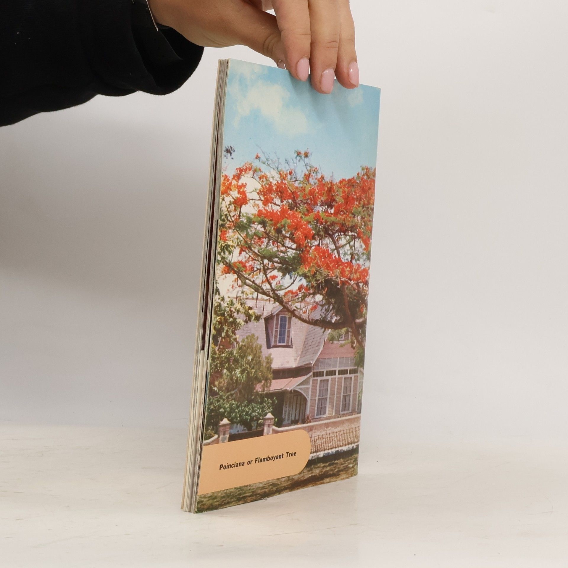 Autores varios Tropical Blossoms of the Caribbean