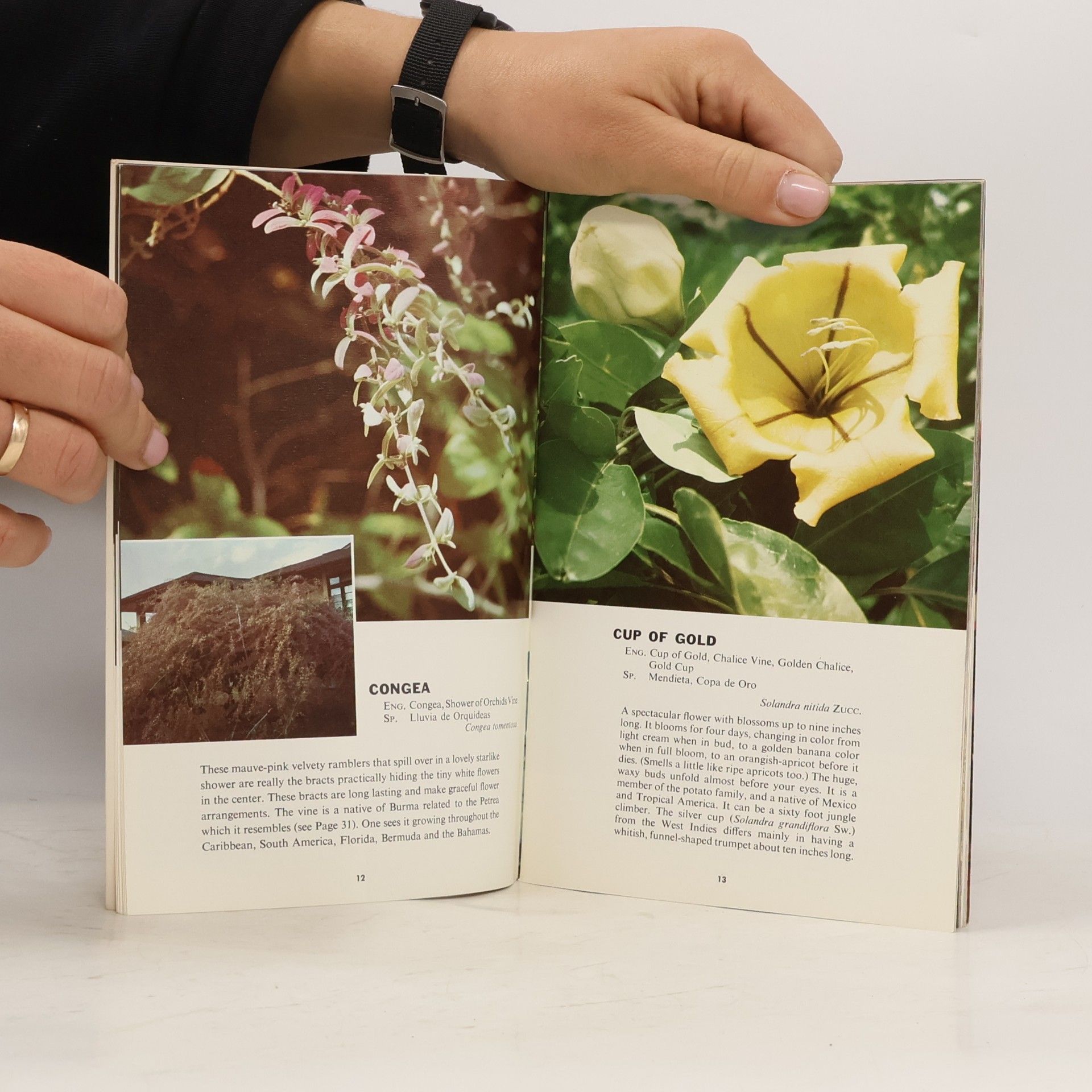 Autores varios Tropical Blossoms of the Caribbean