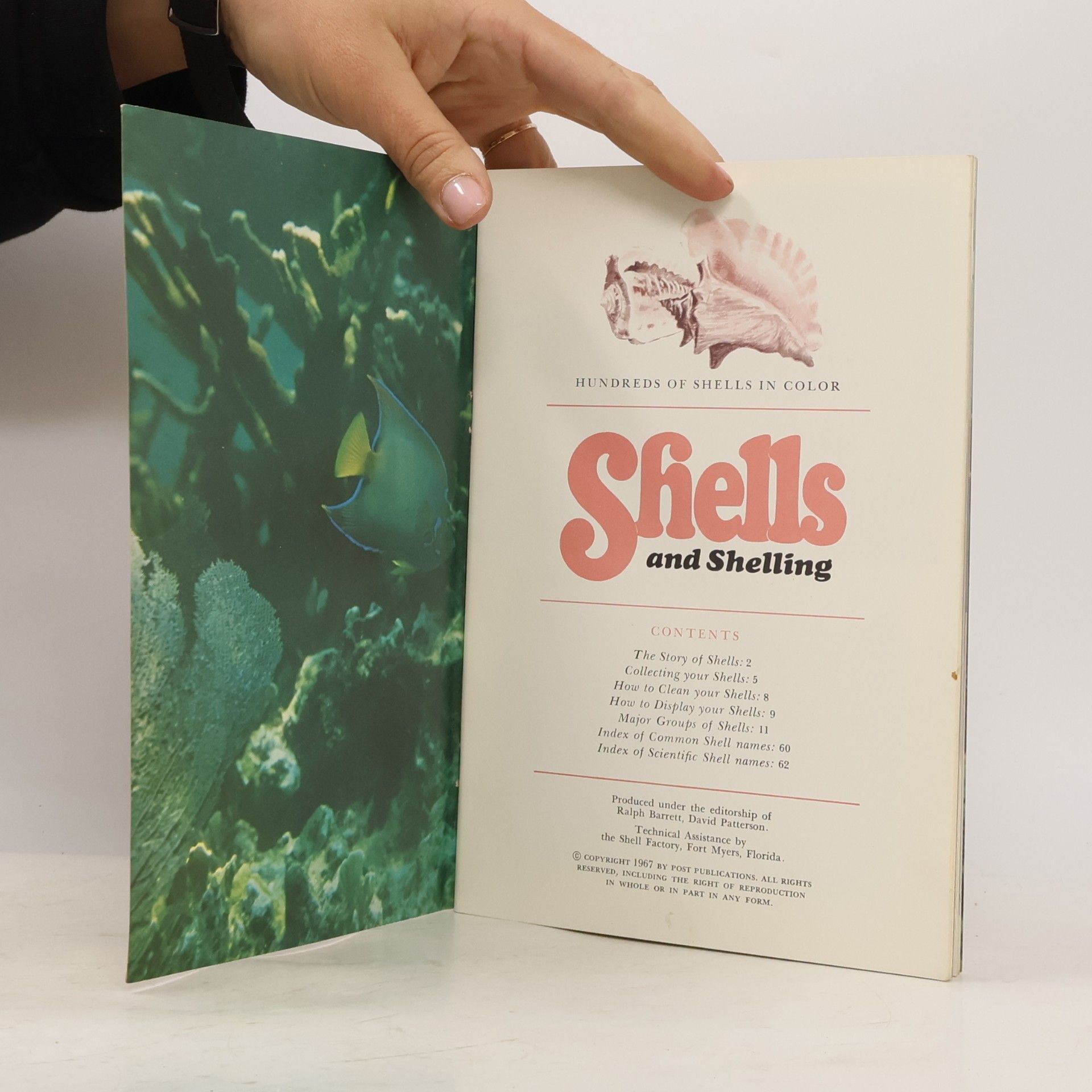 Various authors Shells & Shelling in the Virgin Islands