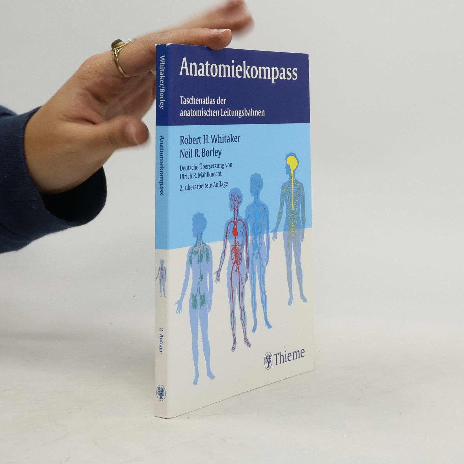 Anatomiekompass