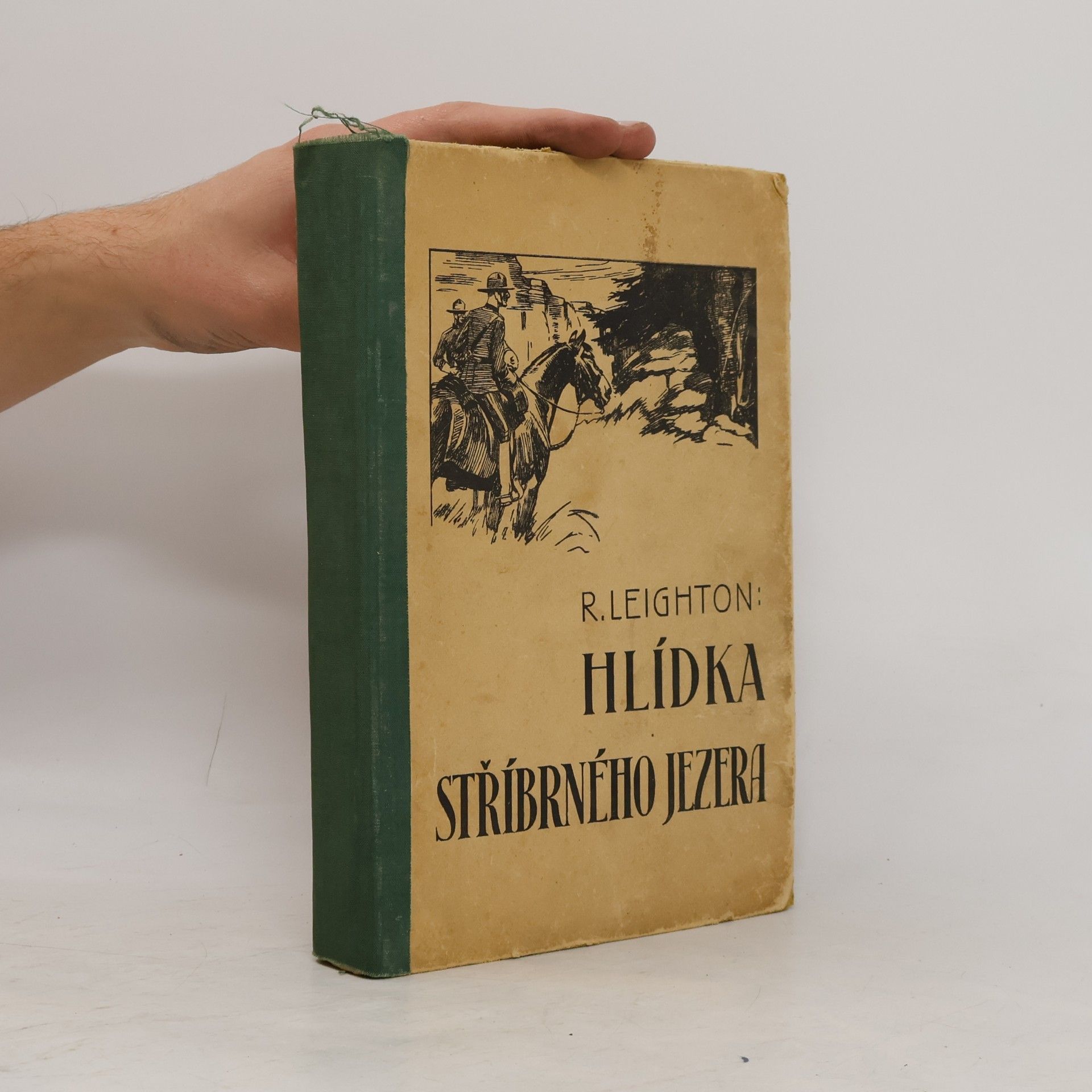 Leighton R. Taylor Hlídka stříbrného jezera