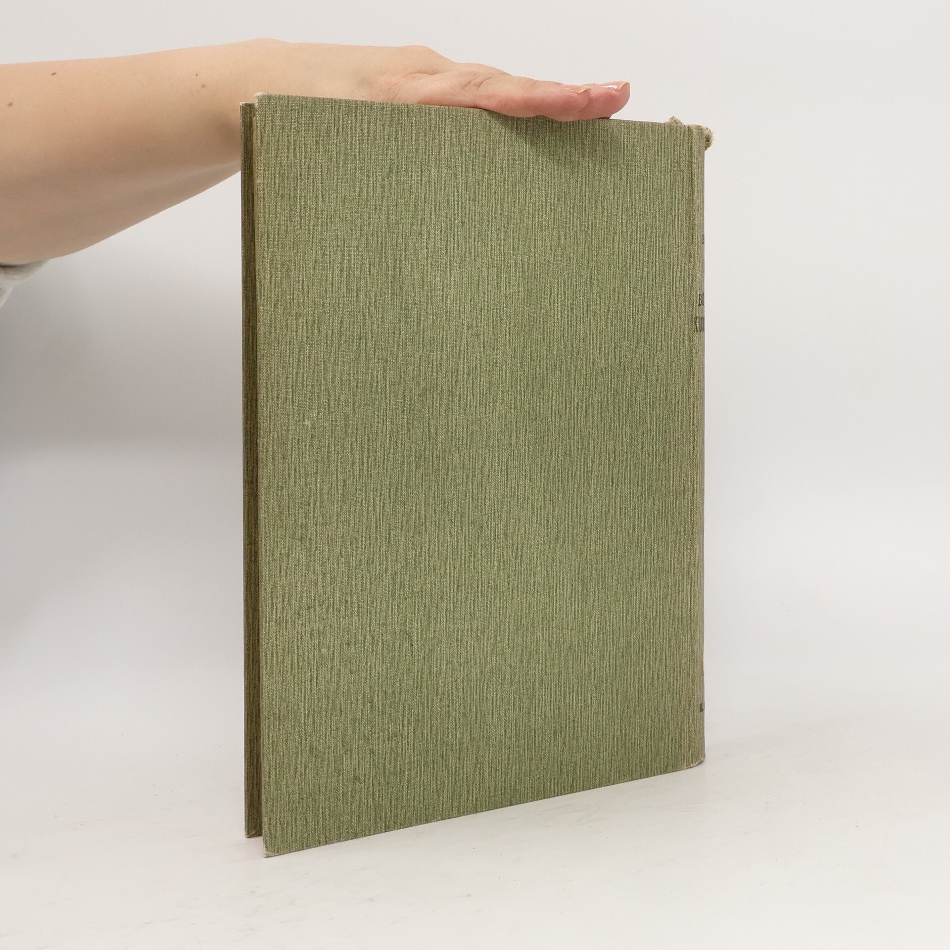 Heinrich Bergner Handbuch der kirchlichen Kunstaltertümer in Deutschland II.