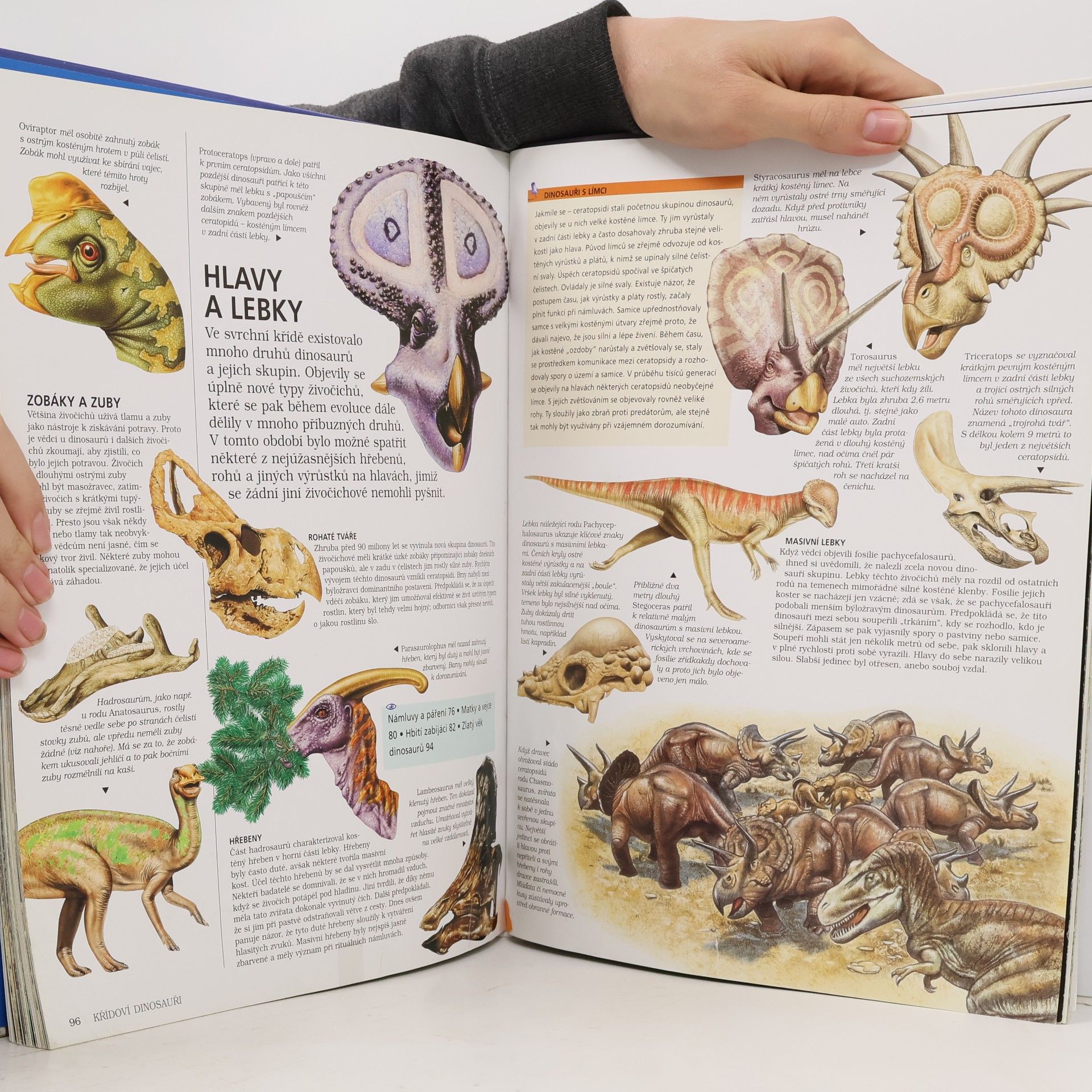 Rupert Matthews Světem dinosaurů