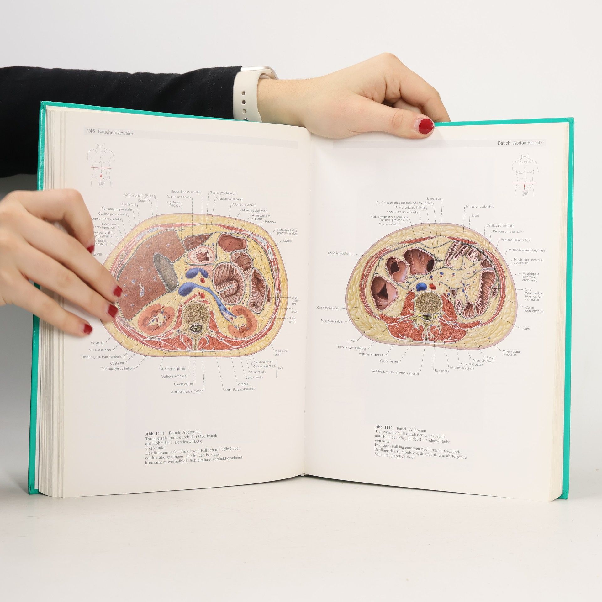 Johannes Sobotta Sobotta. Atlas der Anatomie des Menschen. Band 2