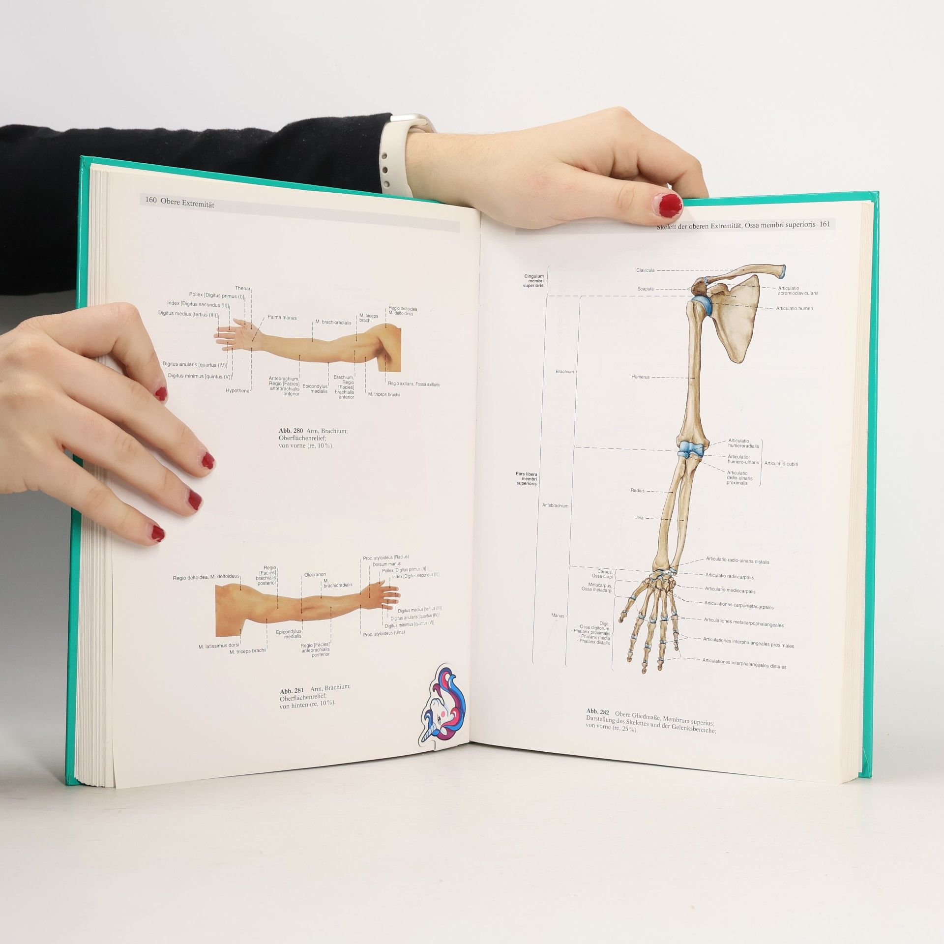 Johannes Sobotta Sobotta. Atlas der Anatomie des Menschen. Band 1