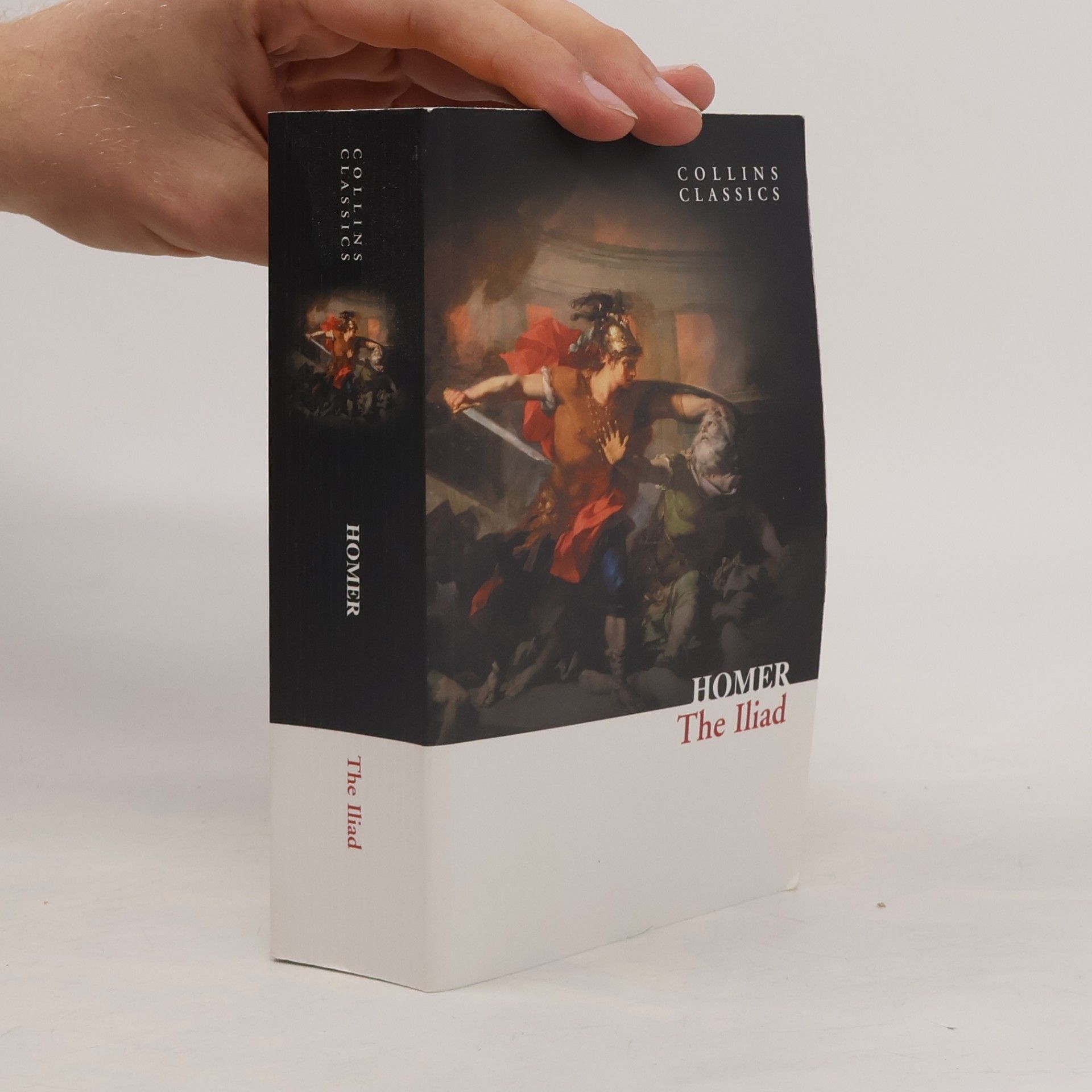 The Iliad