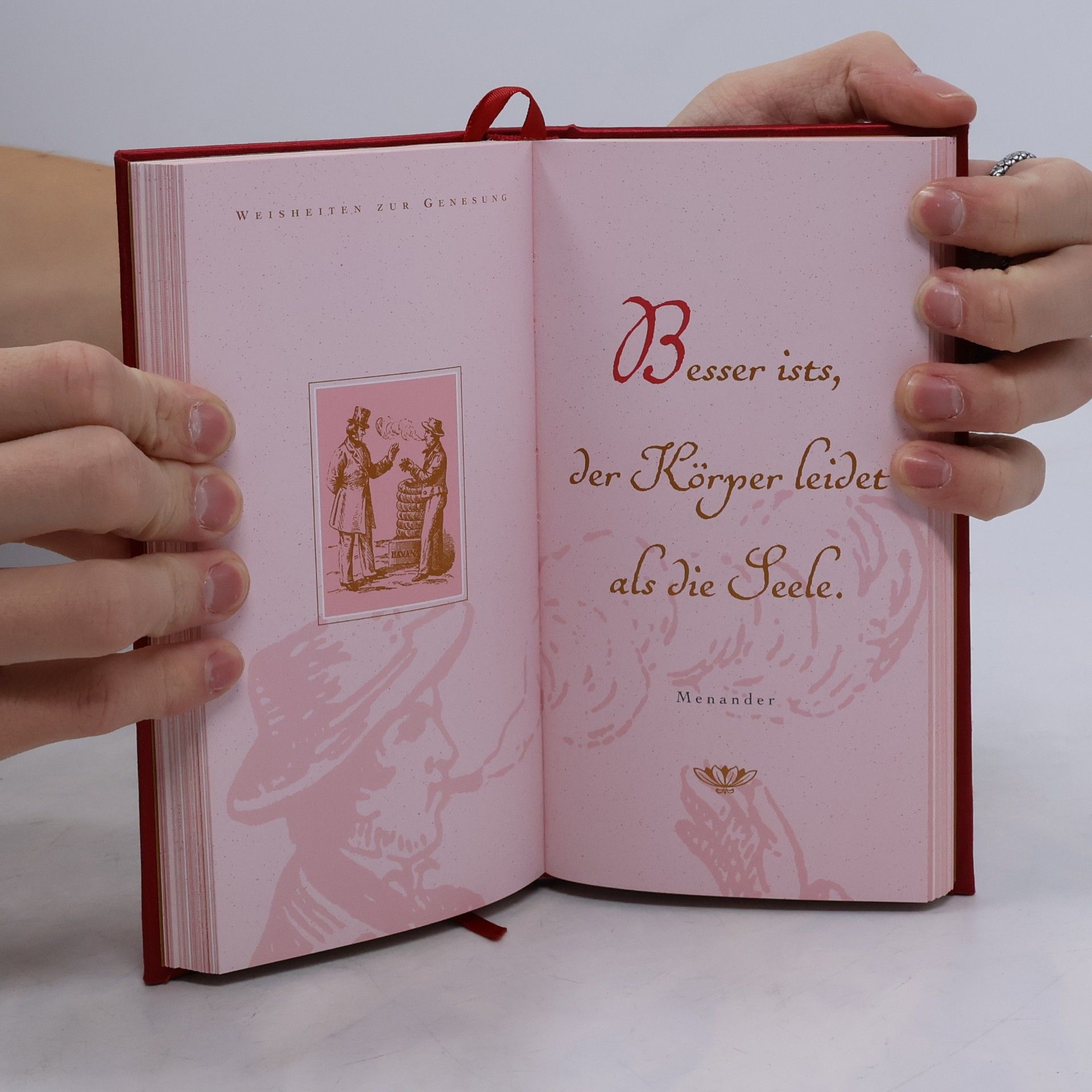 Various authors Die schönsten Weisheiten des Lebens
