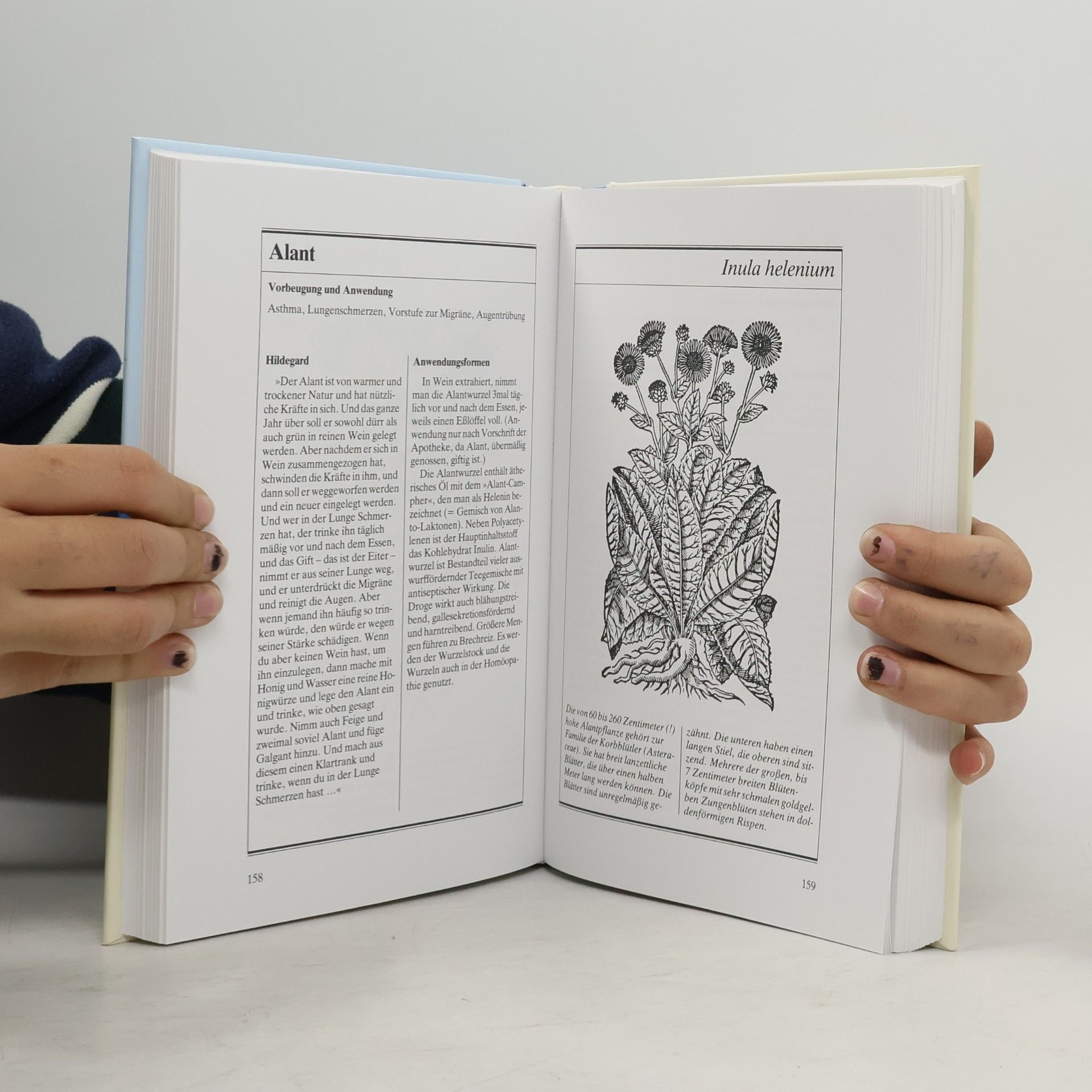 Ellen Breindl Das große Gesundheitsbuch der Hl. Hildegard von Bingen