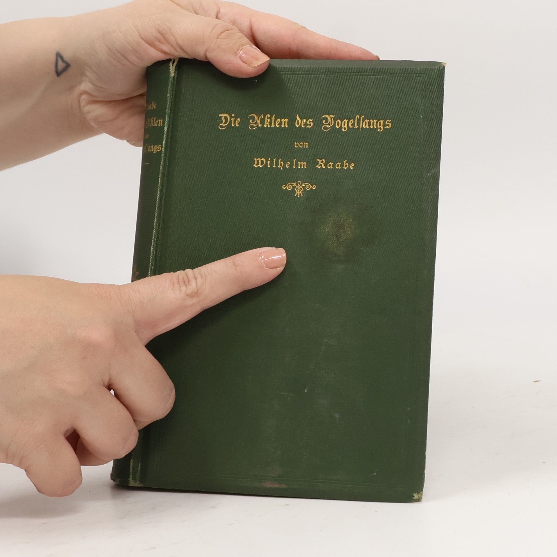 Wilhelm Raabe Die Akten des Vogelsangs