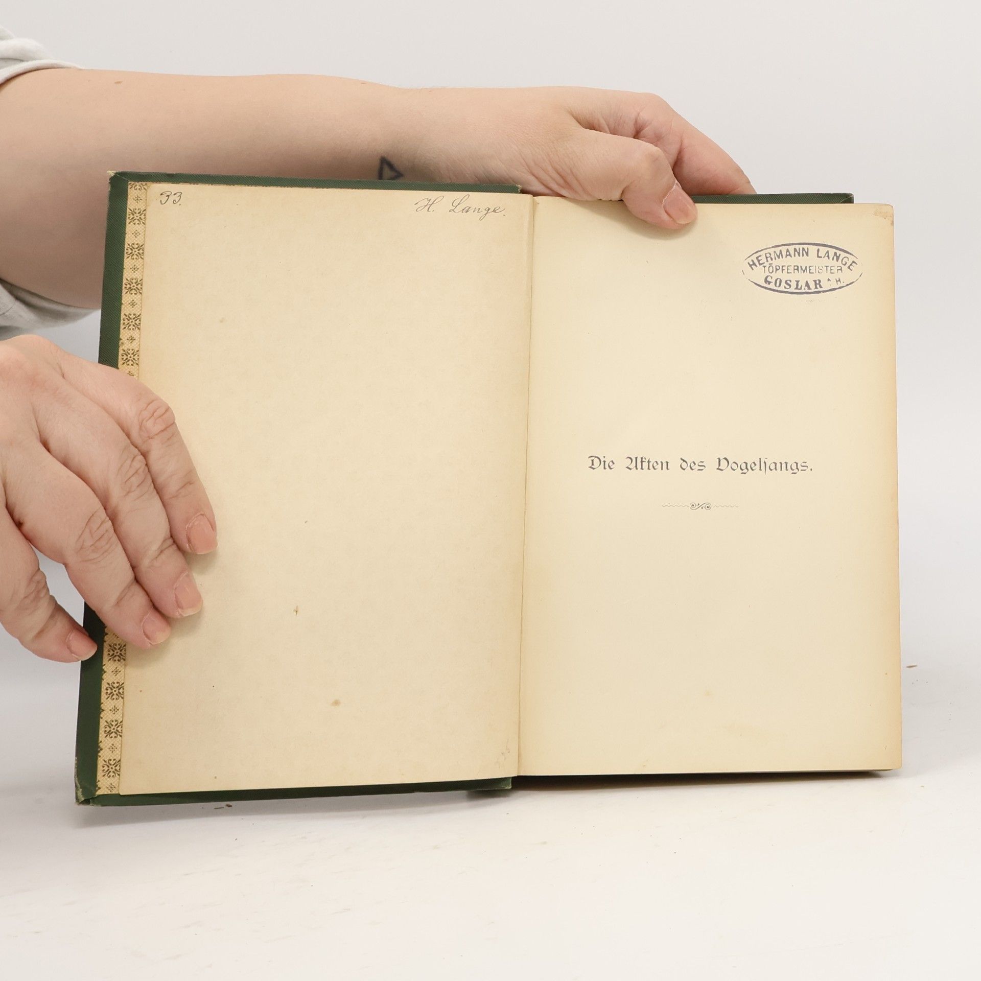 Wilhelm Raabe Die Akten des Vogelsangs