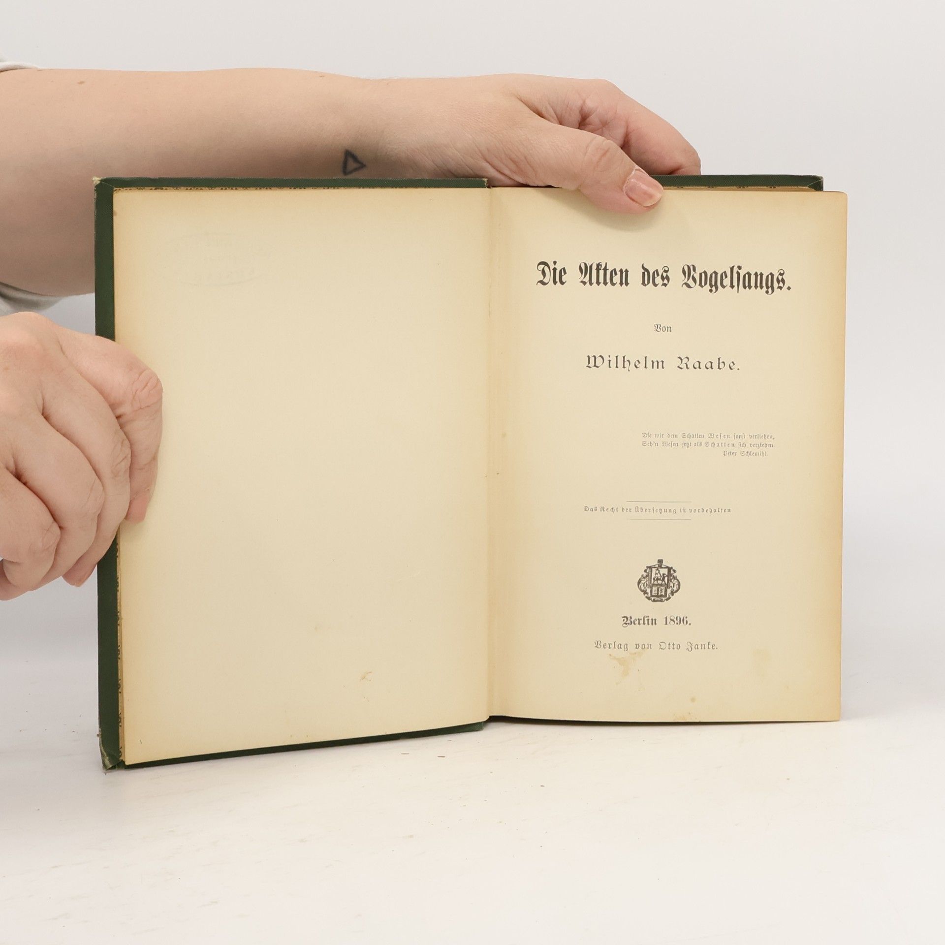 Wilhelm Raabe Die Akten des Vogelsangs