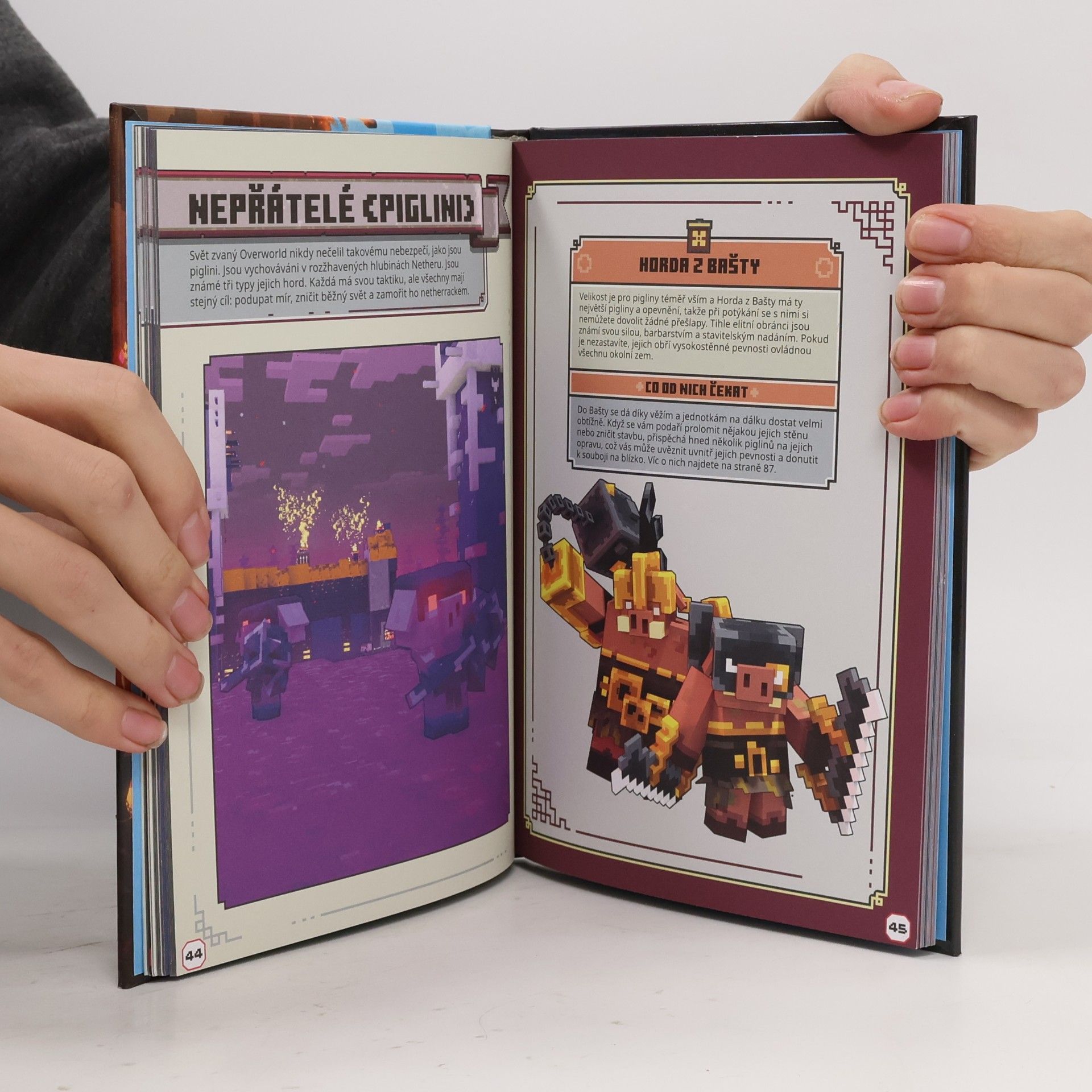 Various authors Minecraft Legends - Hrdinova příručka k záchraně světa