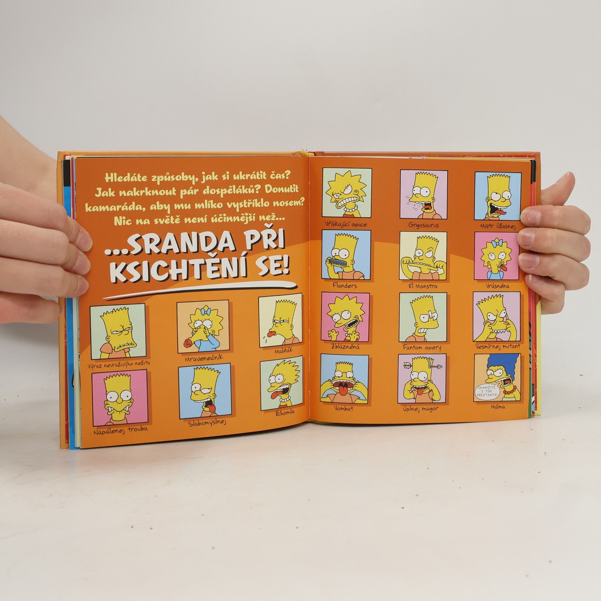 Matt Groening Bartova kniha