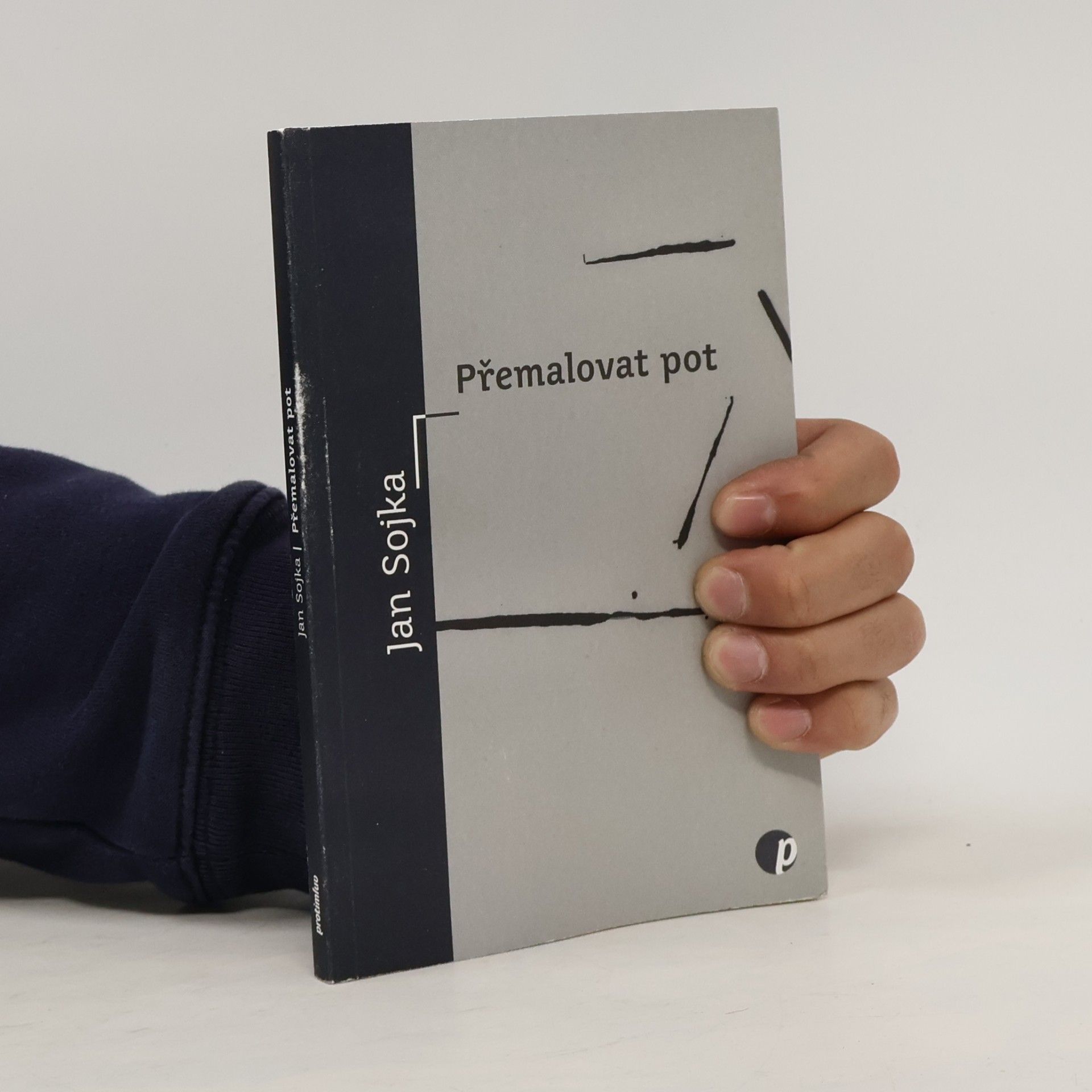 Jan Sojka Přemalovat pot