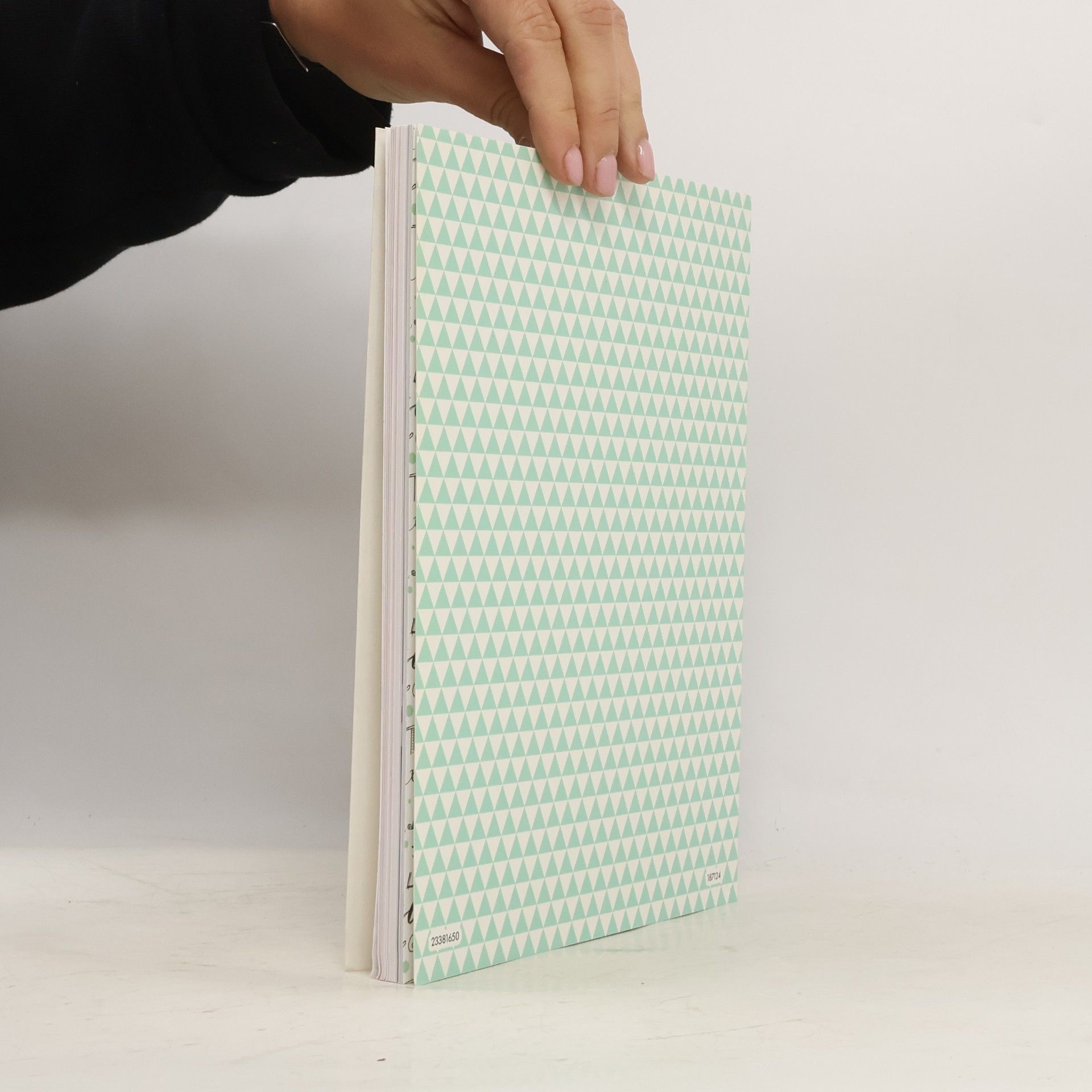 Katja Haas Schöne Schriften Anleitungsbuch : Handlettering von A bis Z