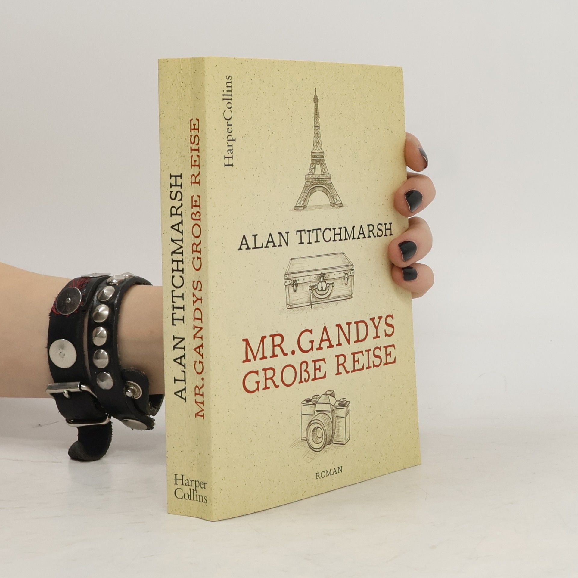 Mr. Gandys große Reise