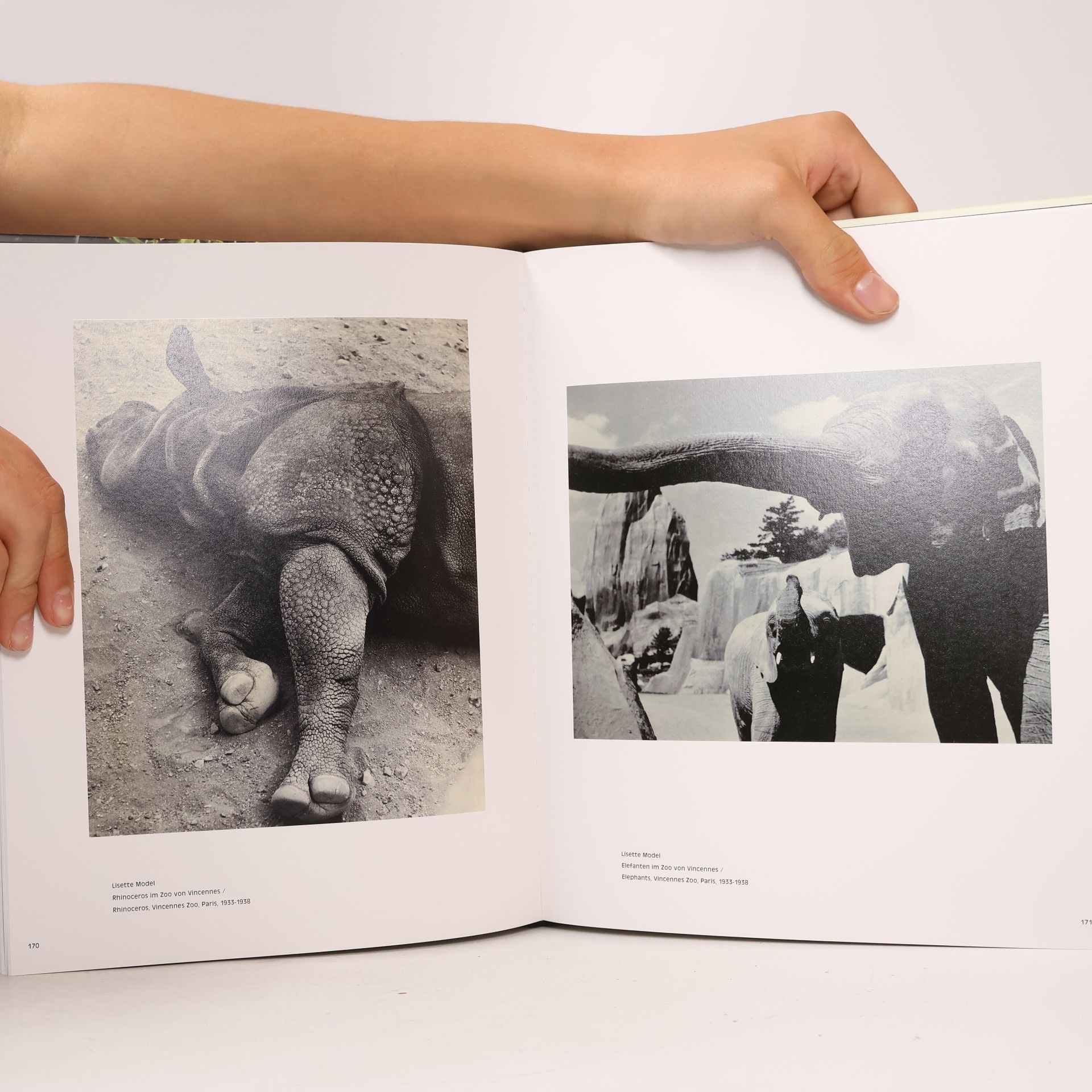 Ute Eskildsen The Photographed Animal