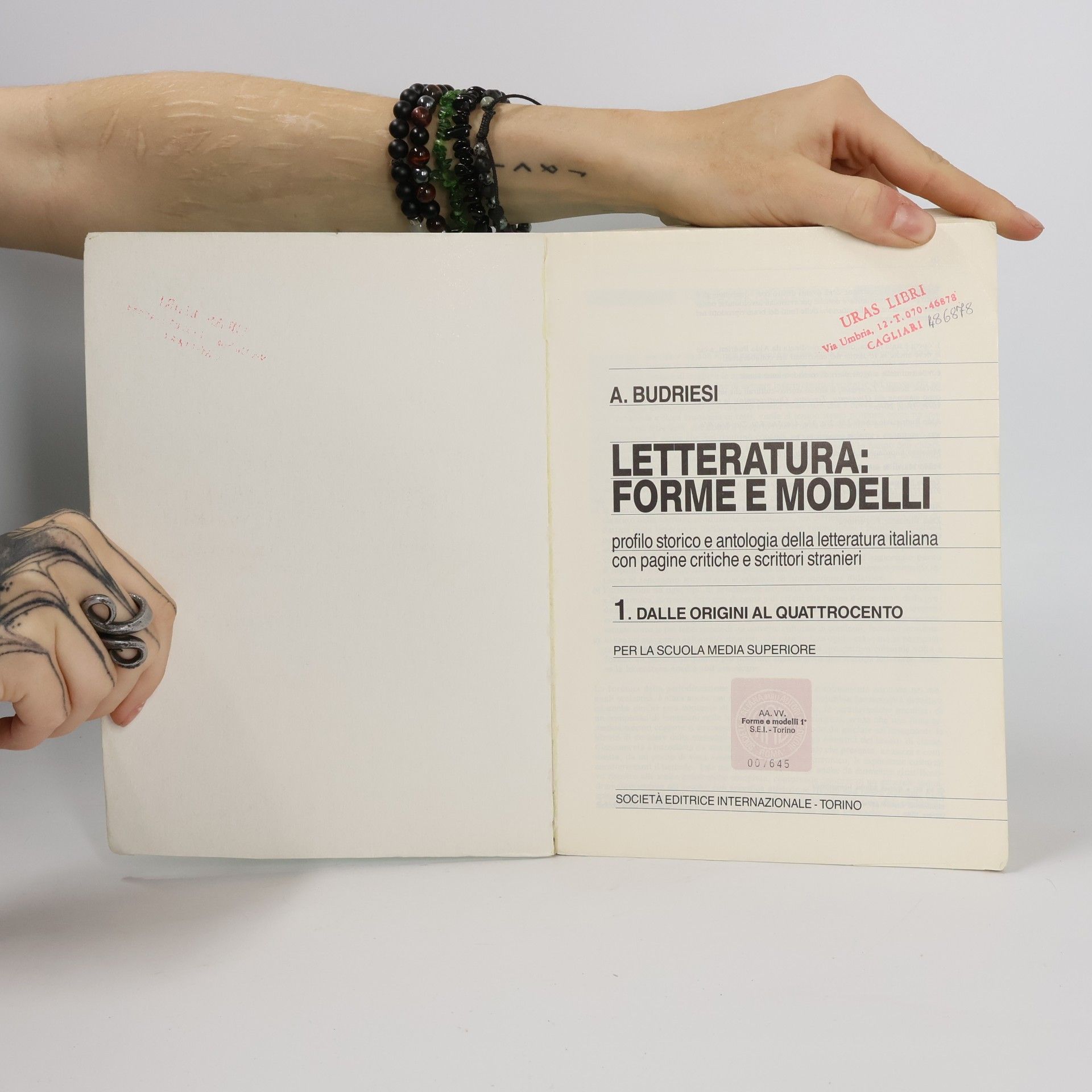 Aldo Budriesi Letteratura: Forme e modelli