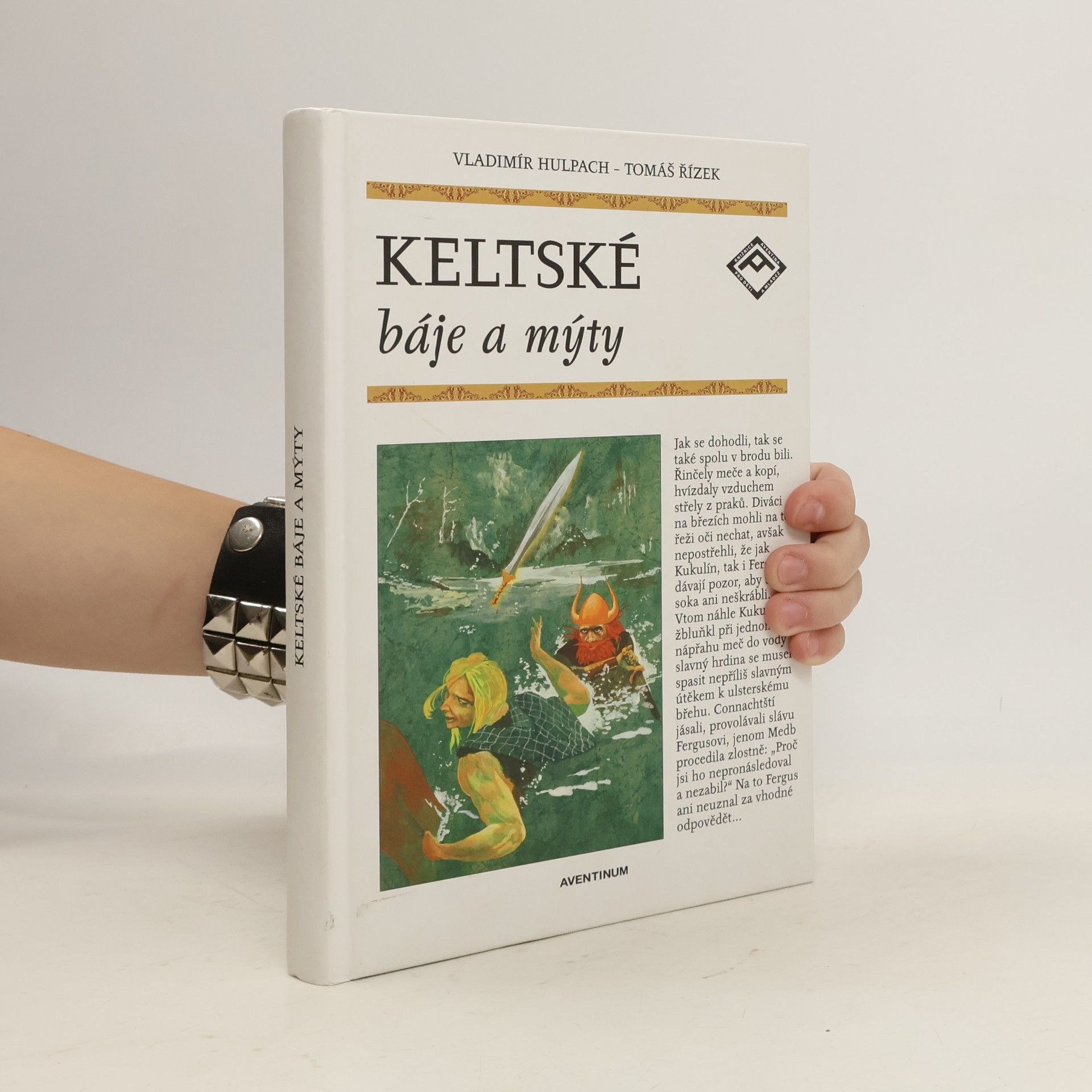 Vladimír Hulpach Keltské báje a mýty
