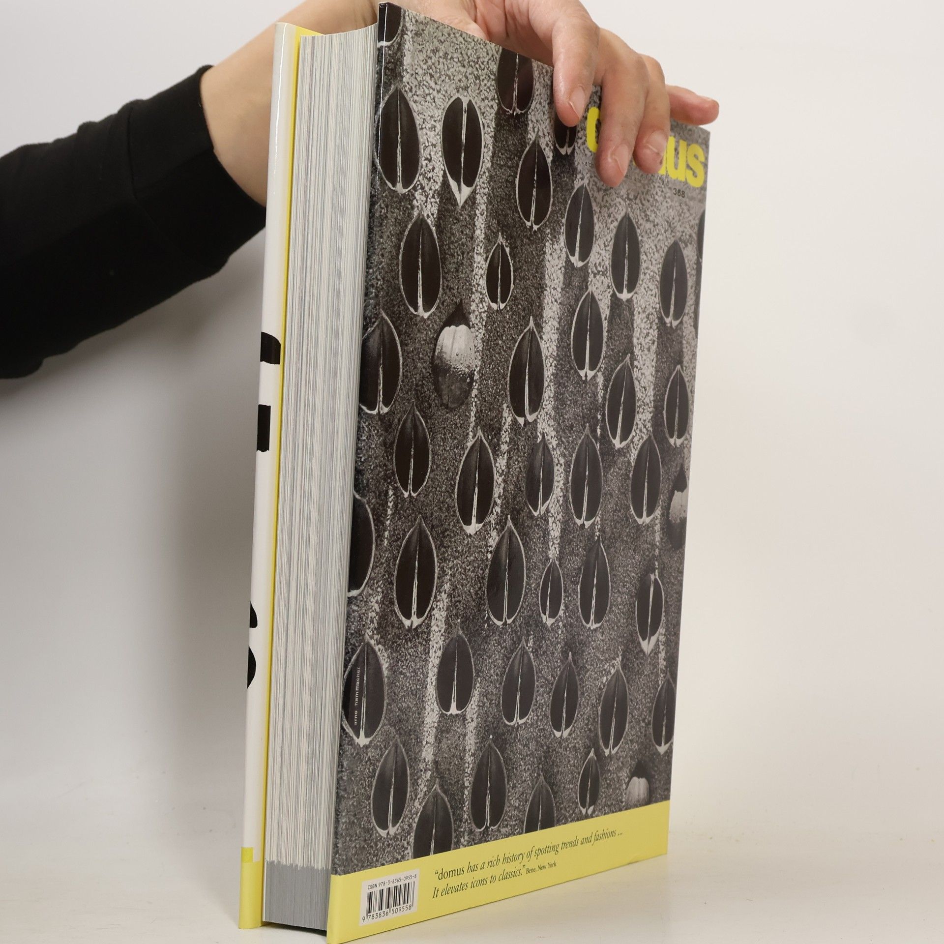 Charlotte Fiell Domus Volume V. 1960-1964