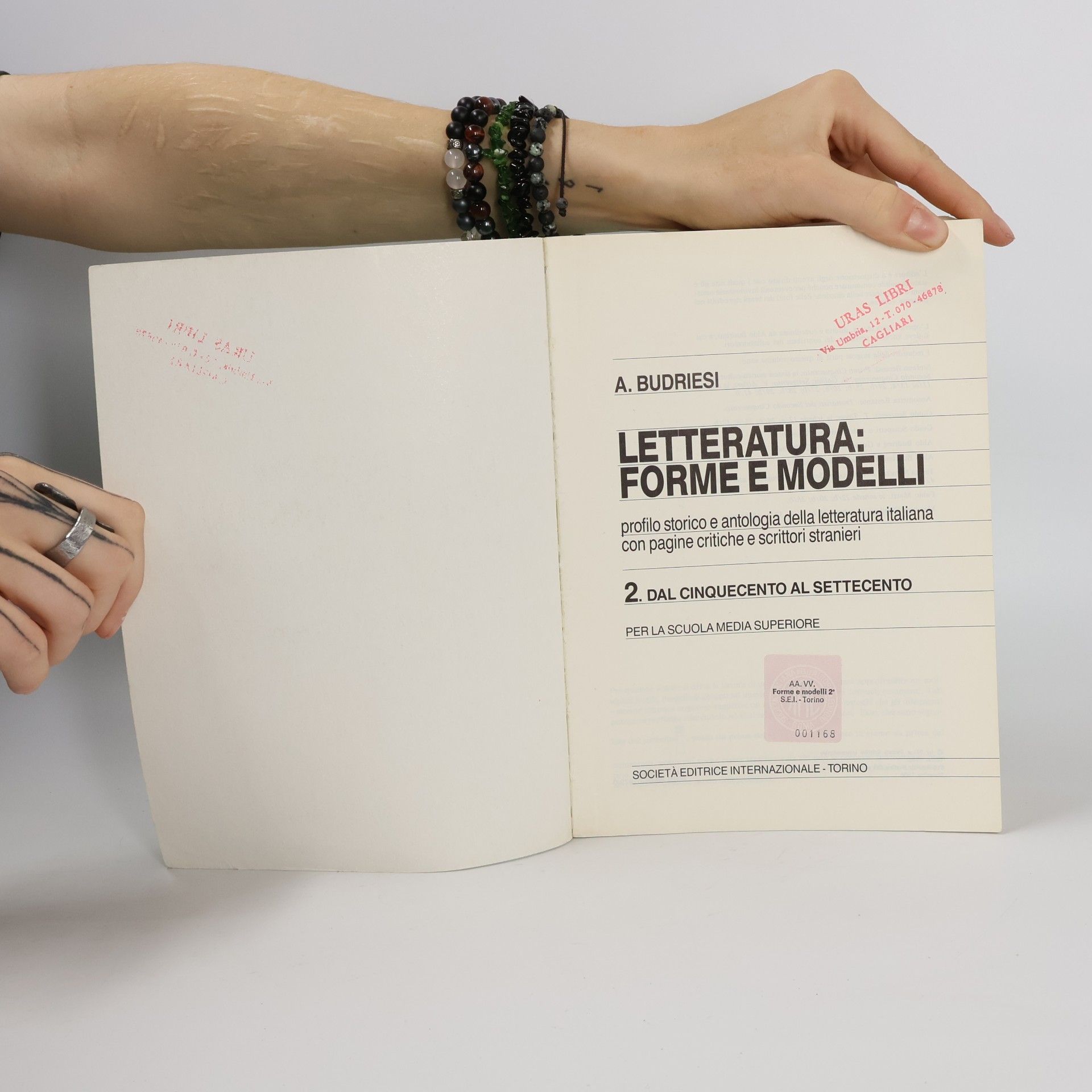 Aldo Budriesi Letteratura: forme e modelli