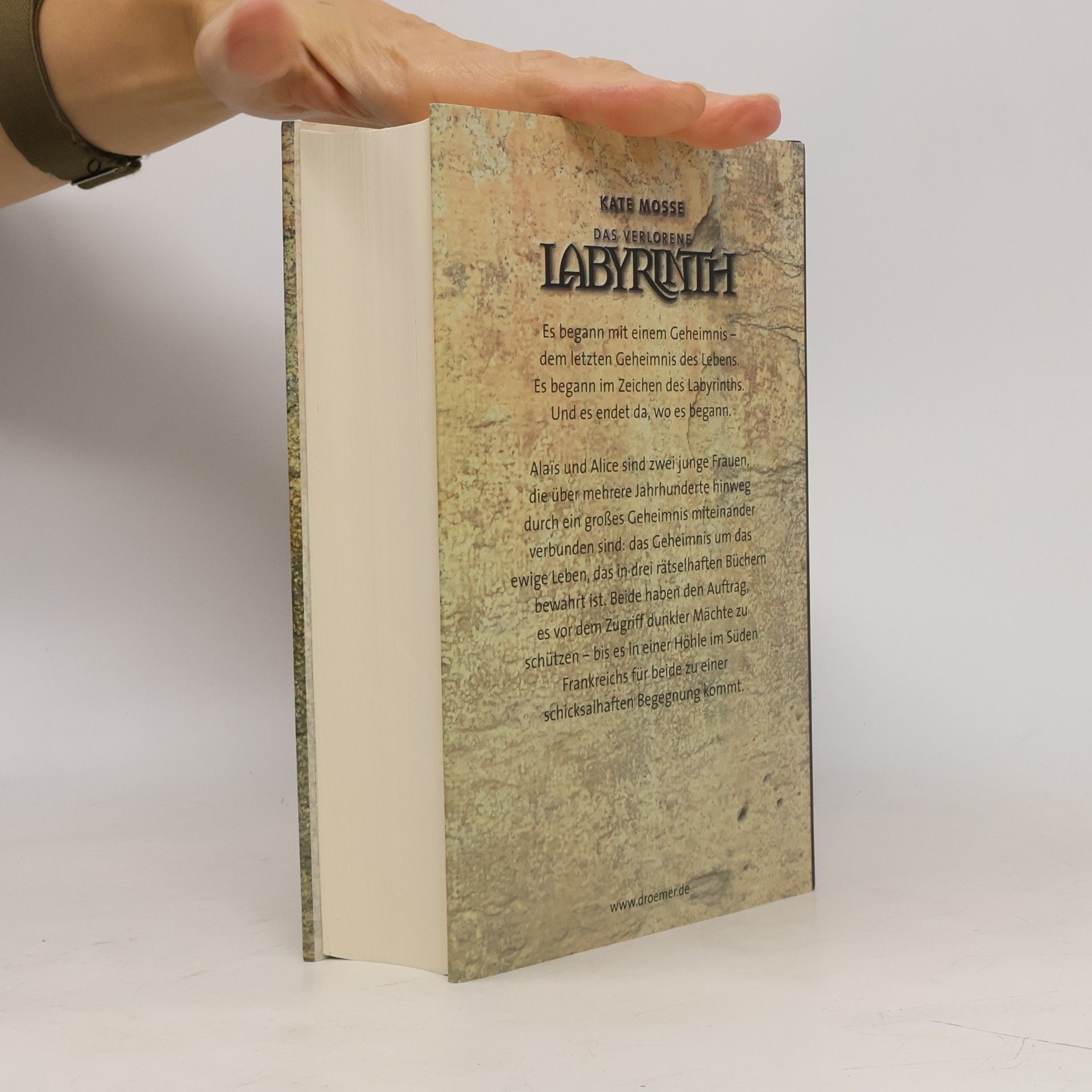 Kate Mosse Das Verlorene Labyrinth