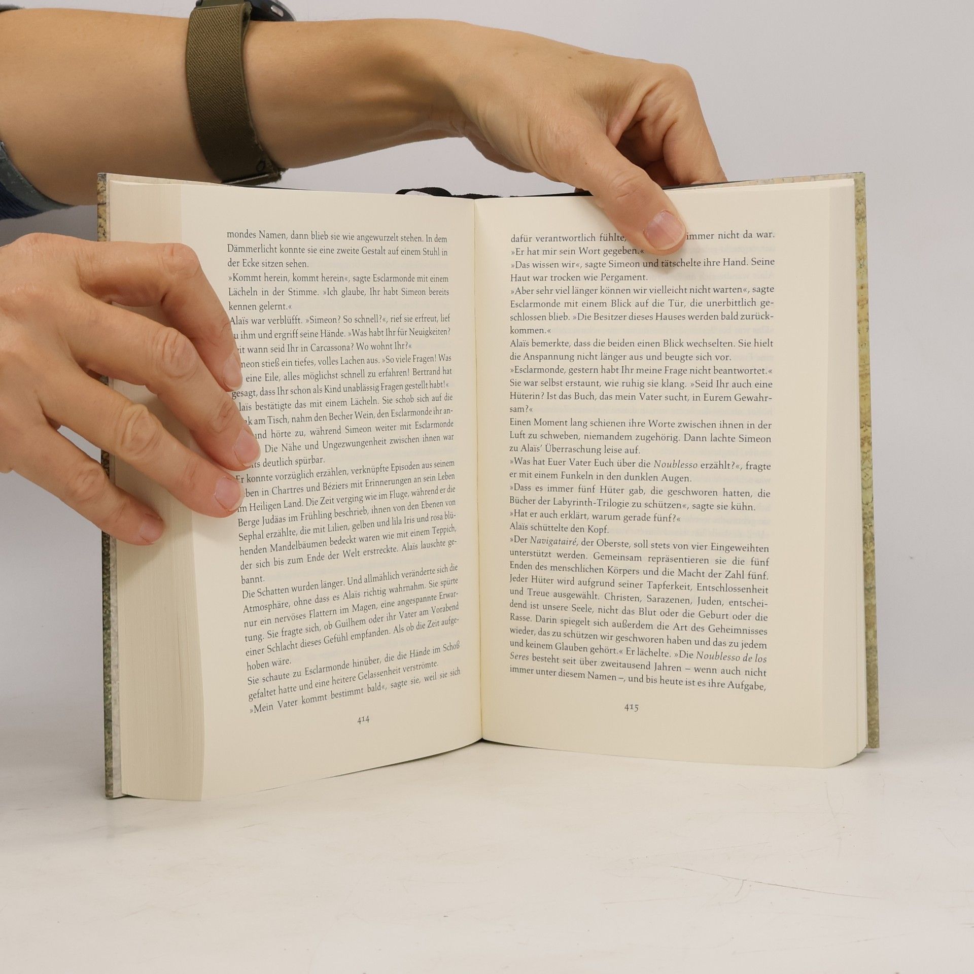 Kate Mosse Das Verlorene Labyrinth