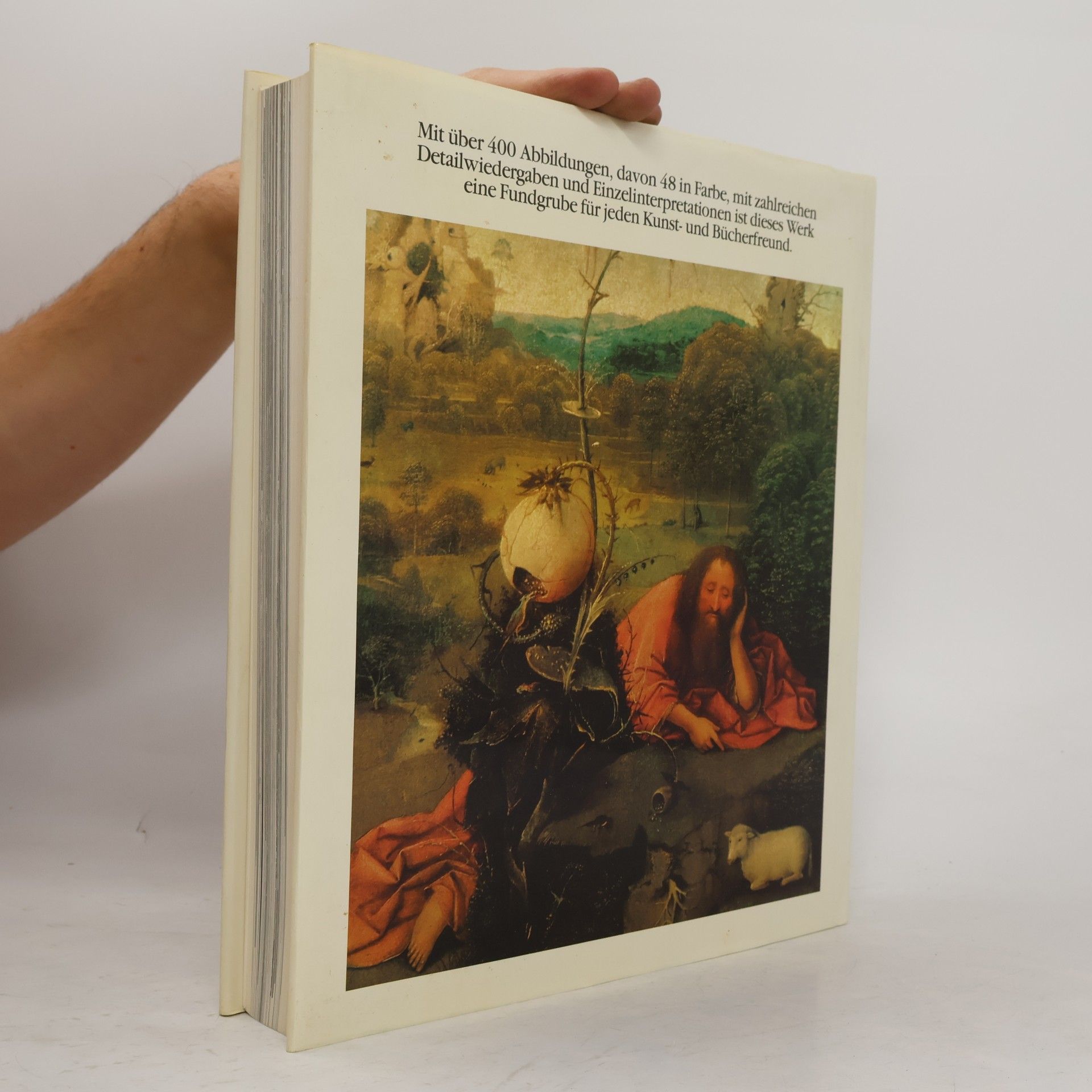 Charles De Tolnay Hieronymus Bosch: Das Gesamtwerk
