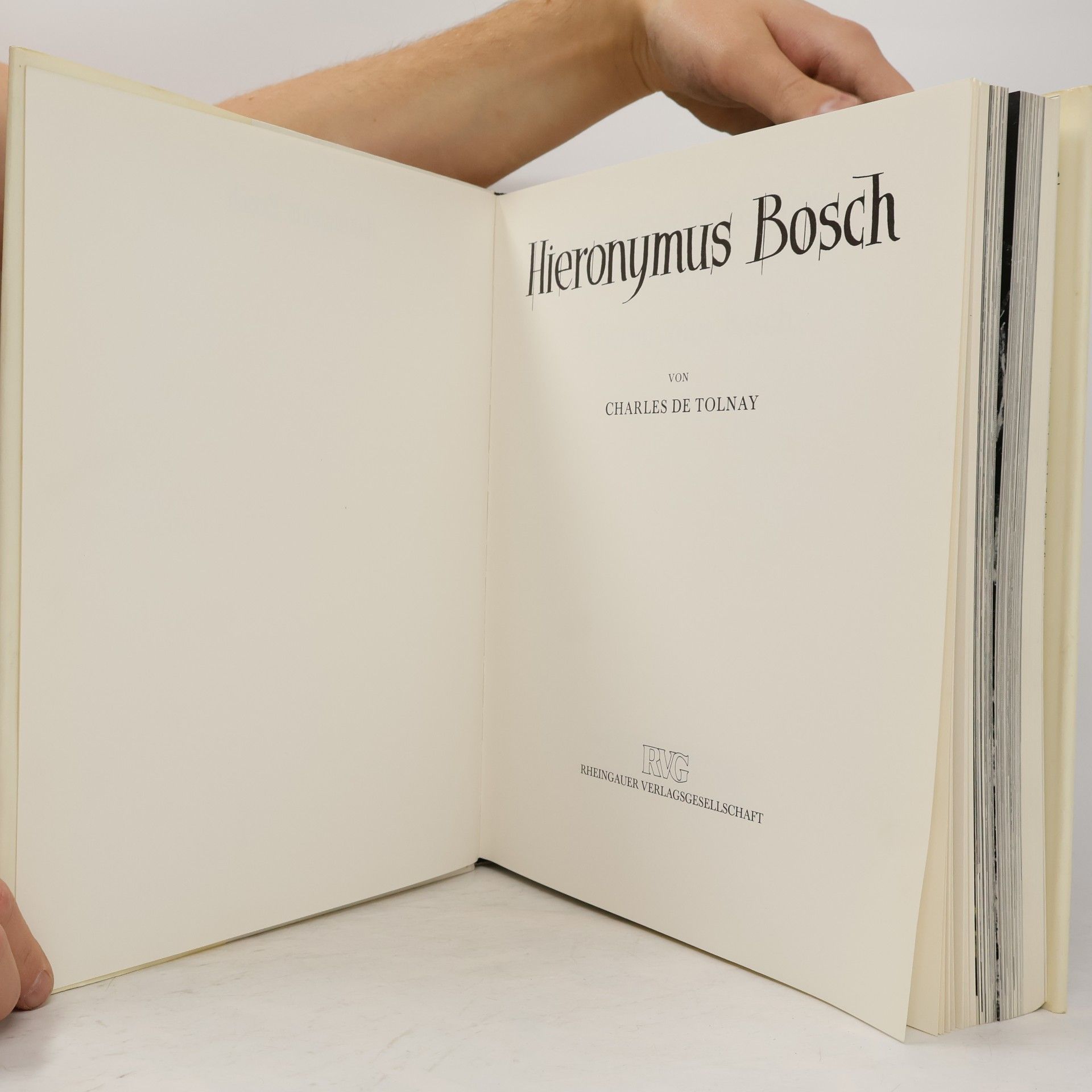 Charles De Tolnay Hieronymus Bosch: Das Gesamtwerk