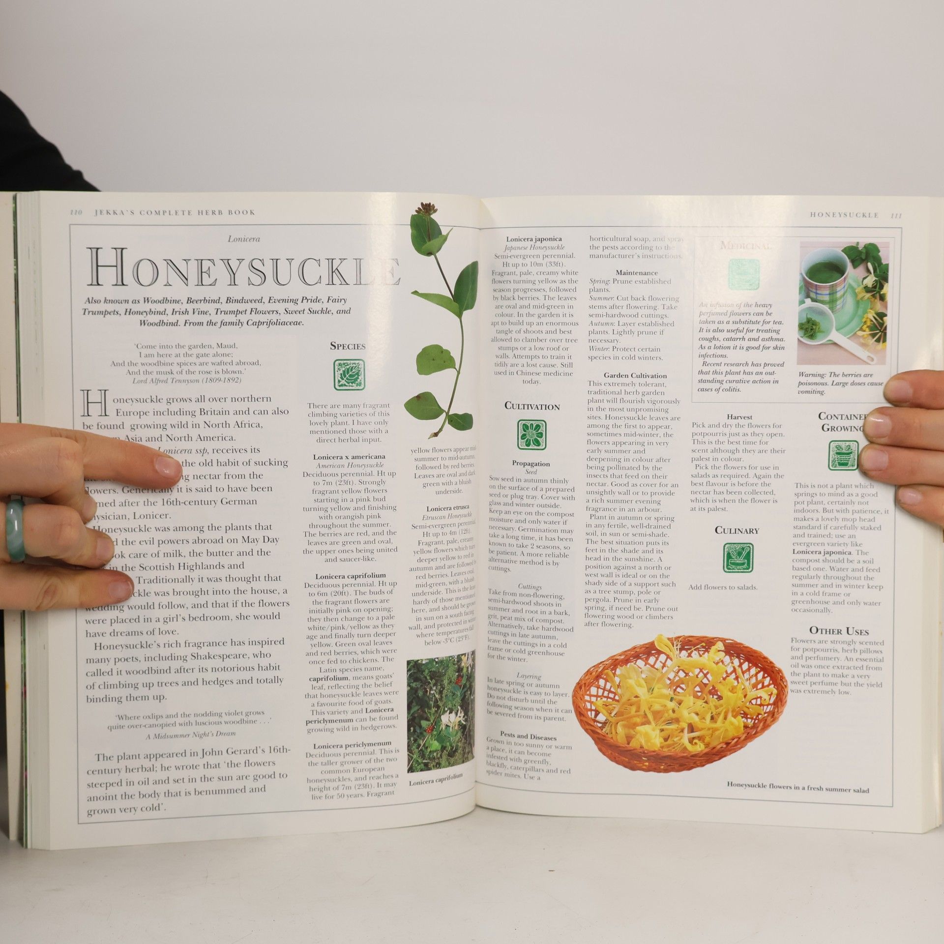 Jekka McVicar Jekka's Complete Herb Book