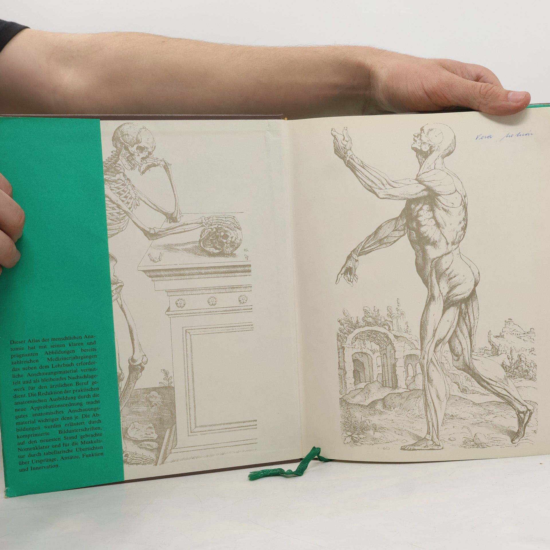 H. Becher Atlas der Anatomie des Menschen