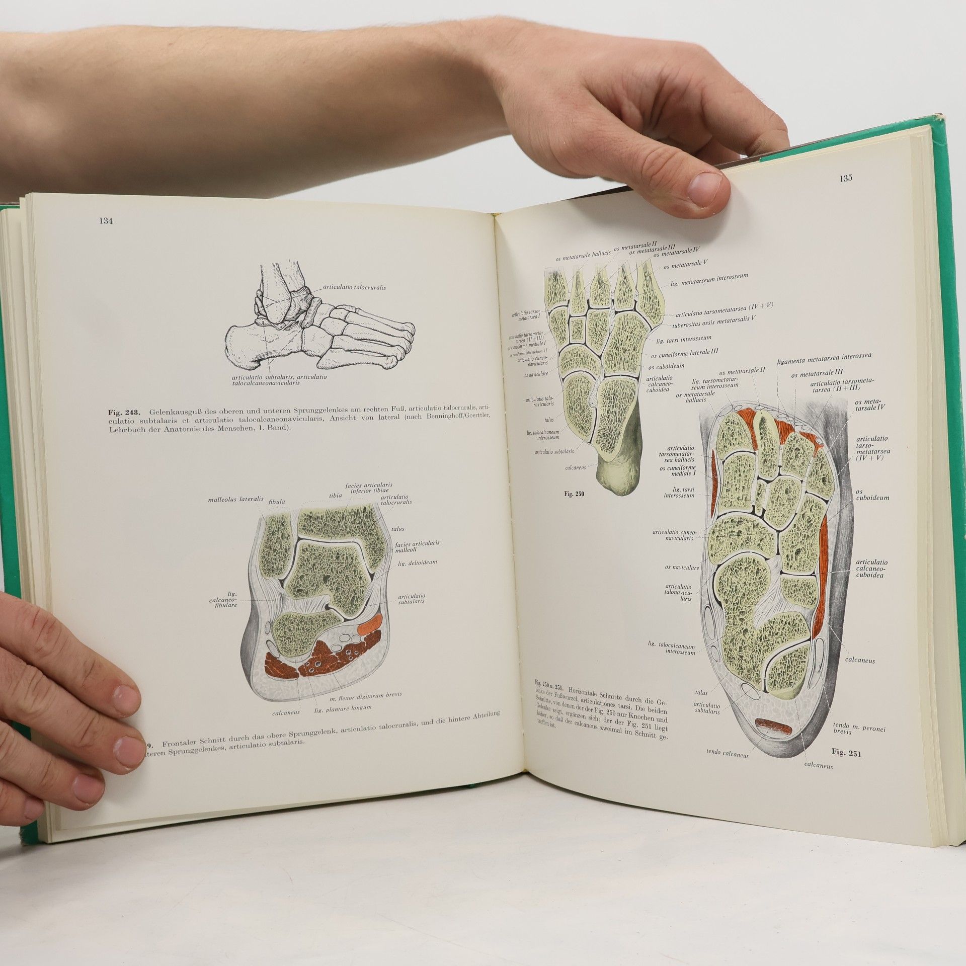 H. Becher Atlas der Anatomie des Menschen