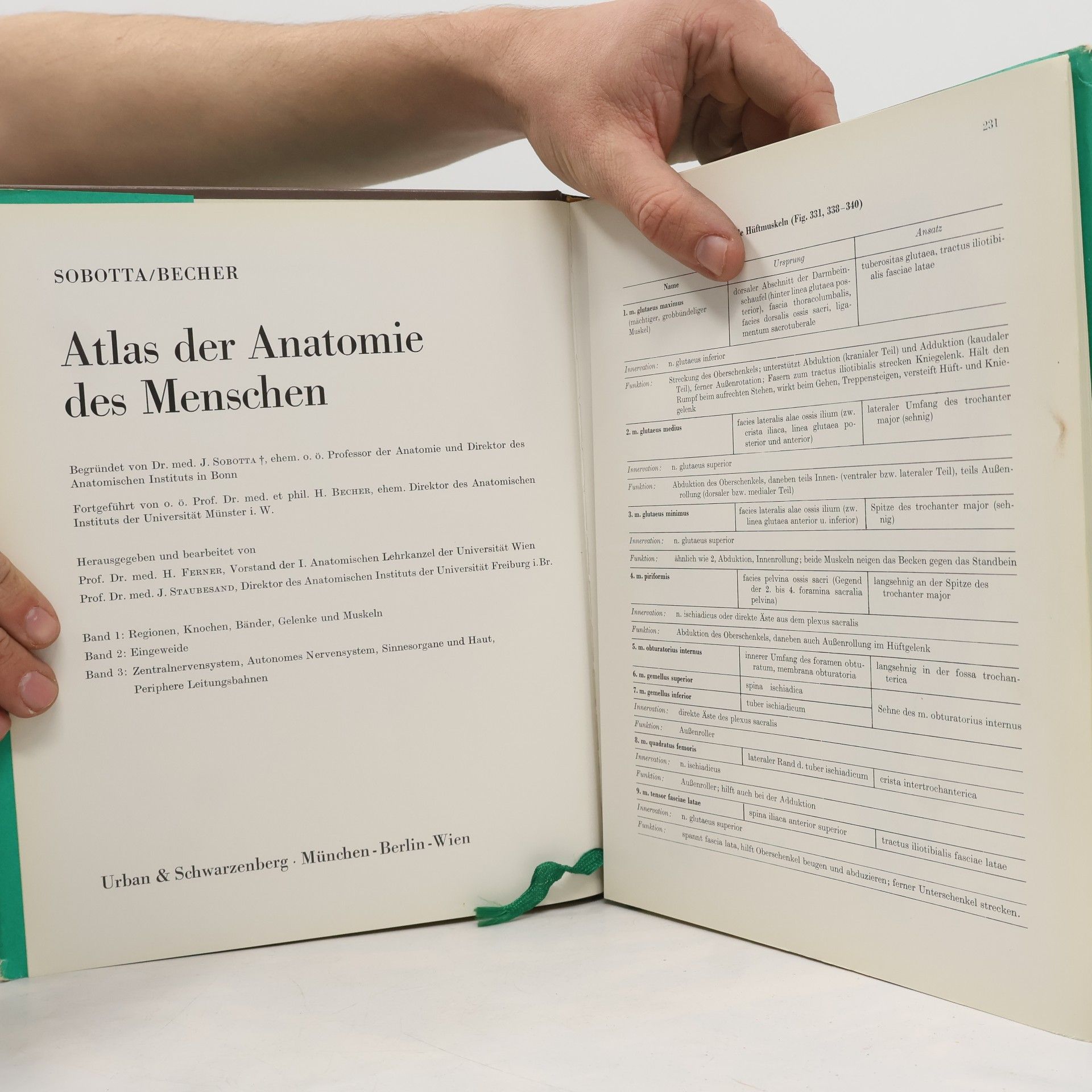 H. Becher Atlas der Anatomie des Menschen
