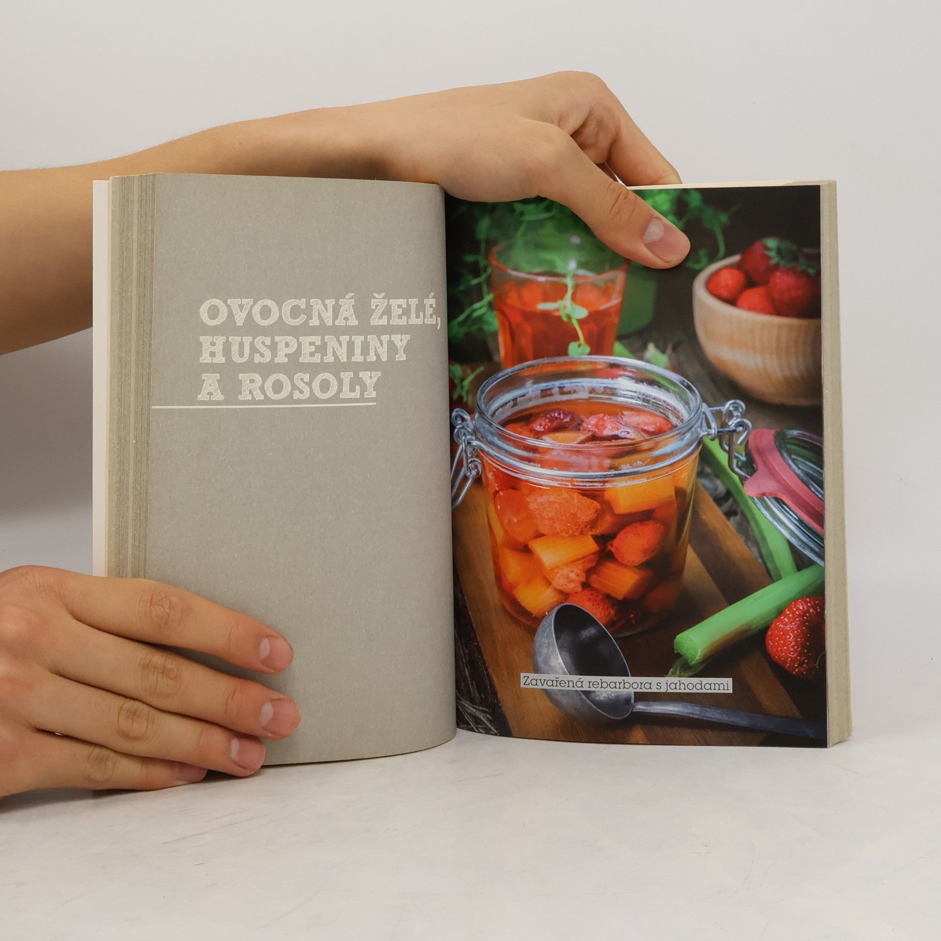 Růžena Přibylová Zavařování : podle našich babiček i moderně