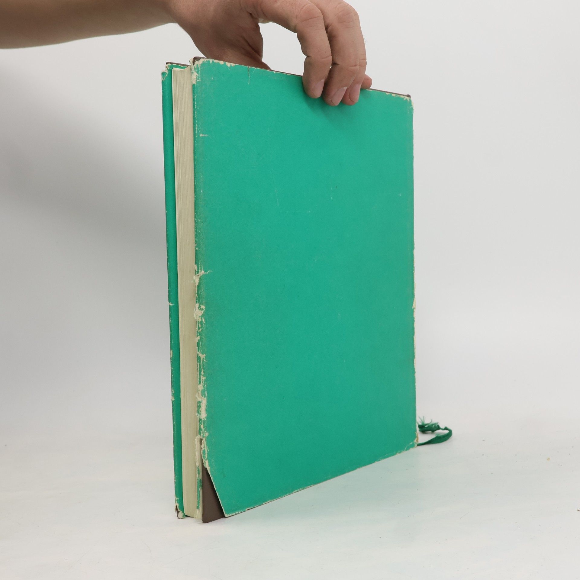 Becher Atlas der Anatomie des Menschen