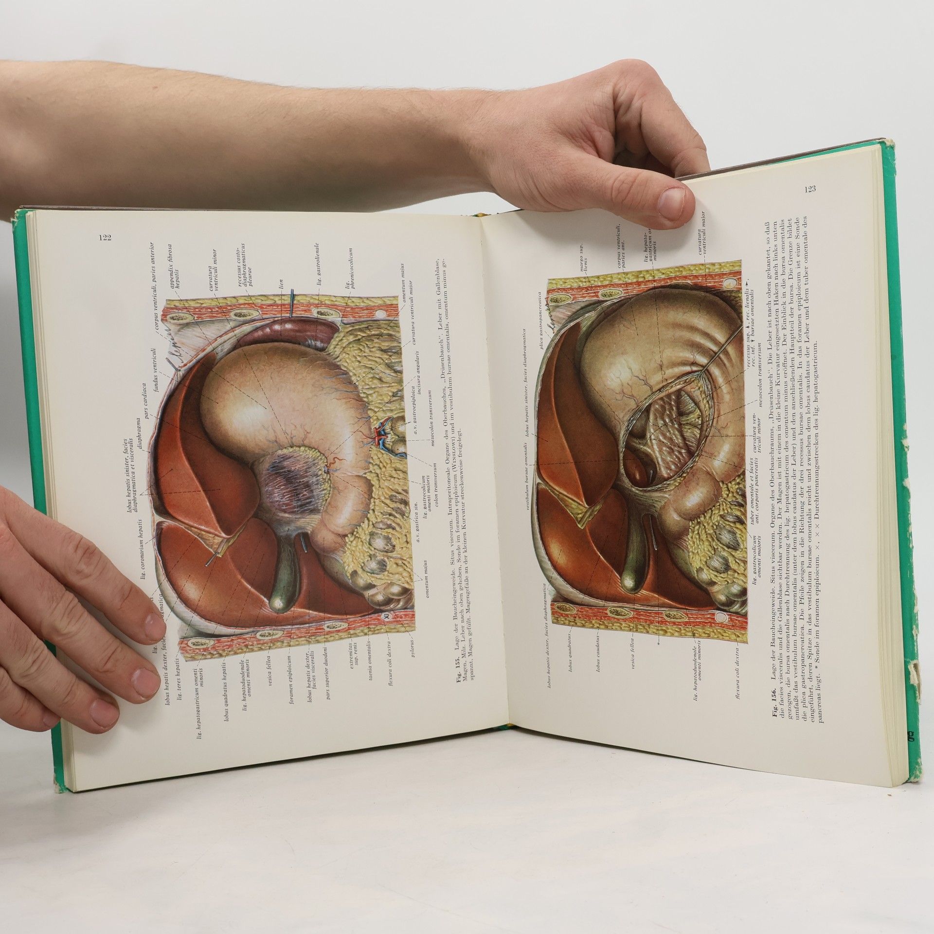 Becher Atlas der Anatomie des Menschen