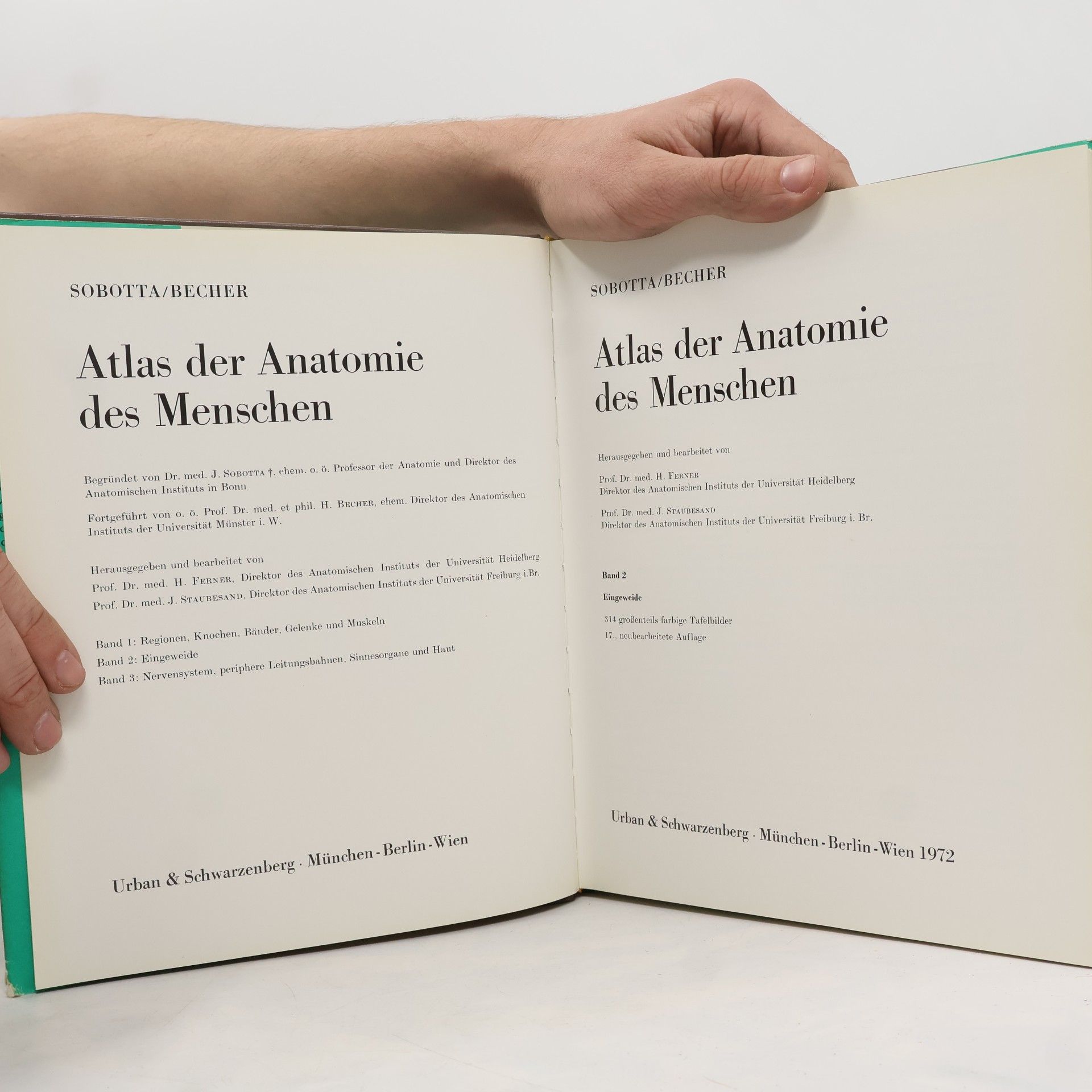 Becher Atlas der Anatomie des Menschen