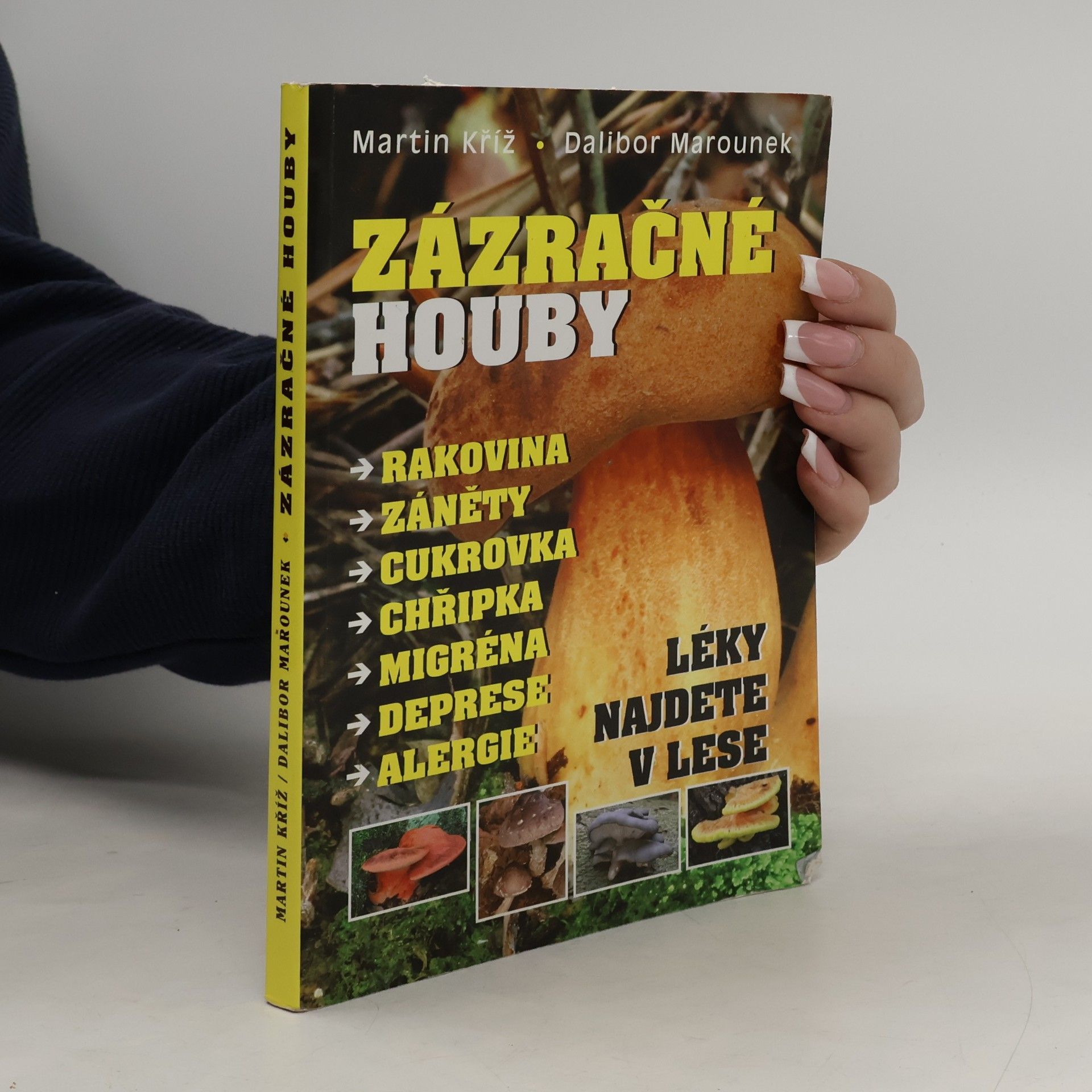 Martin Kříž Zázračné houby : rakovina, záněty, cukrovka, chřipka, migréna, deprese, alergie : léky najdete v lese