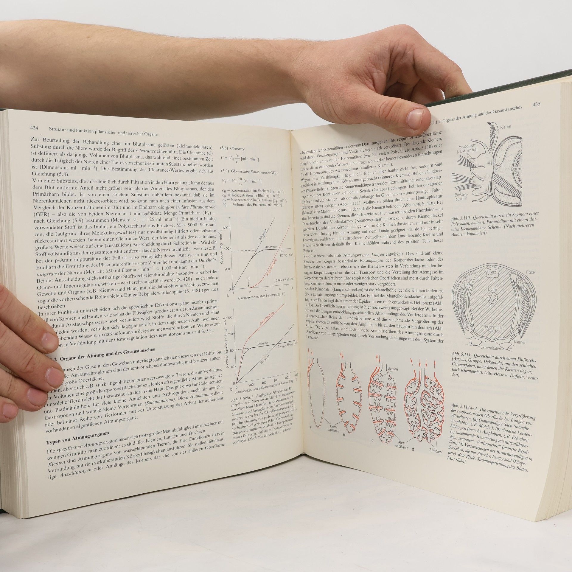 Gerhard Czihak Biologie