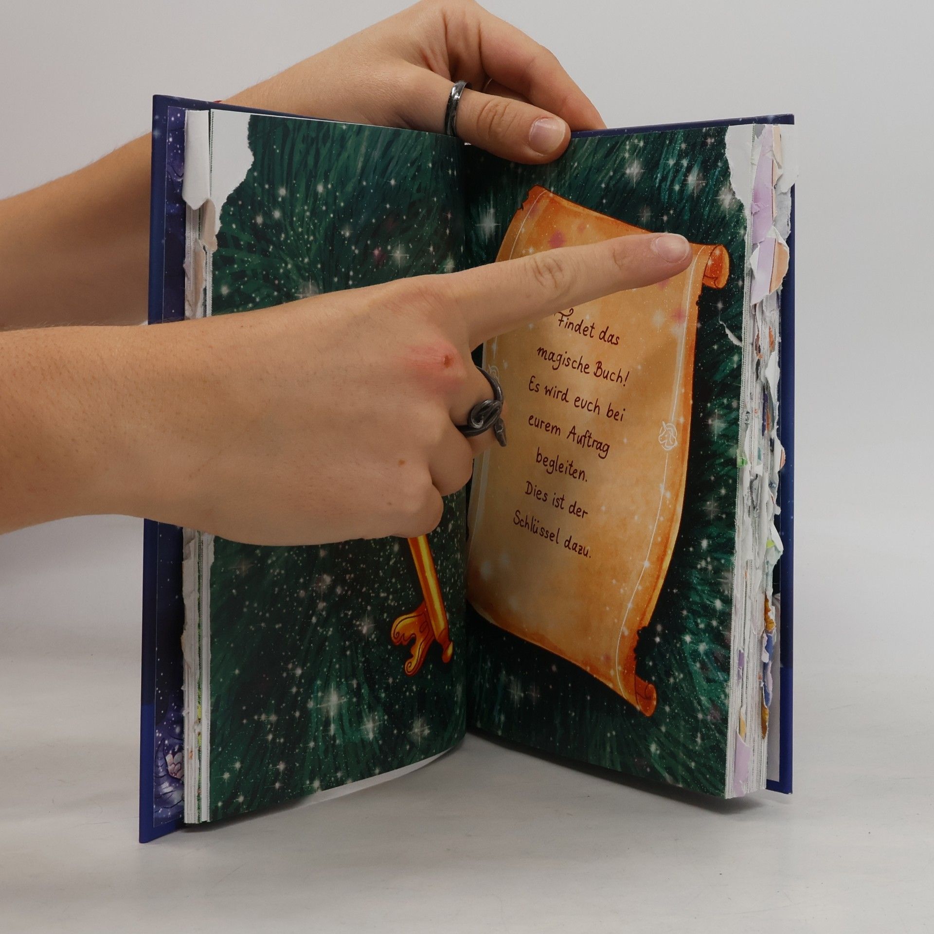 Linda Champan Sternenschweif. Das magische Buch