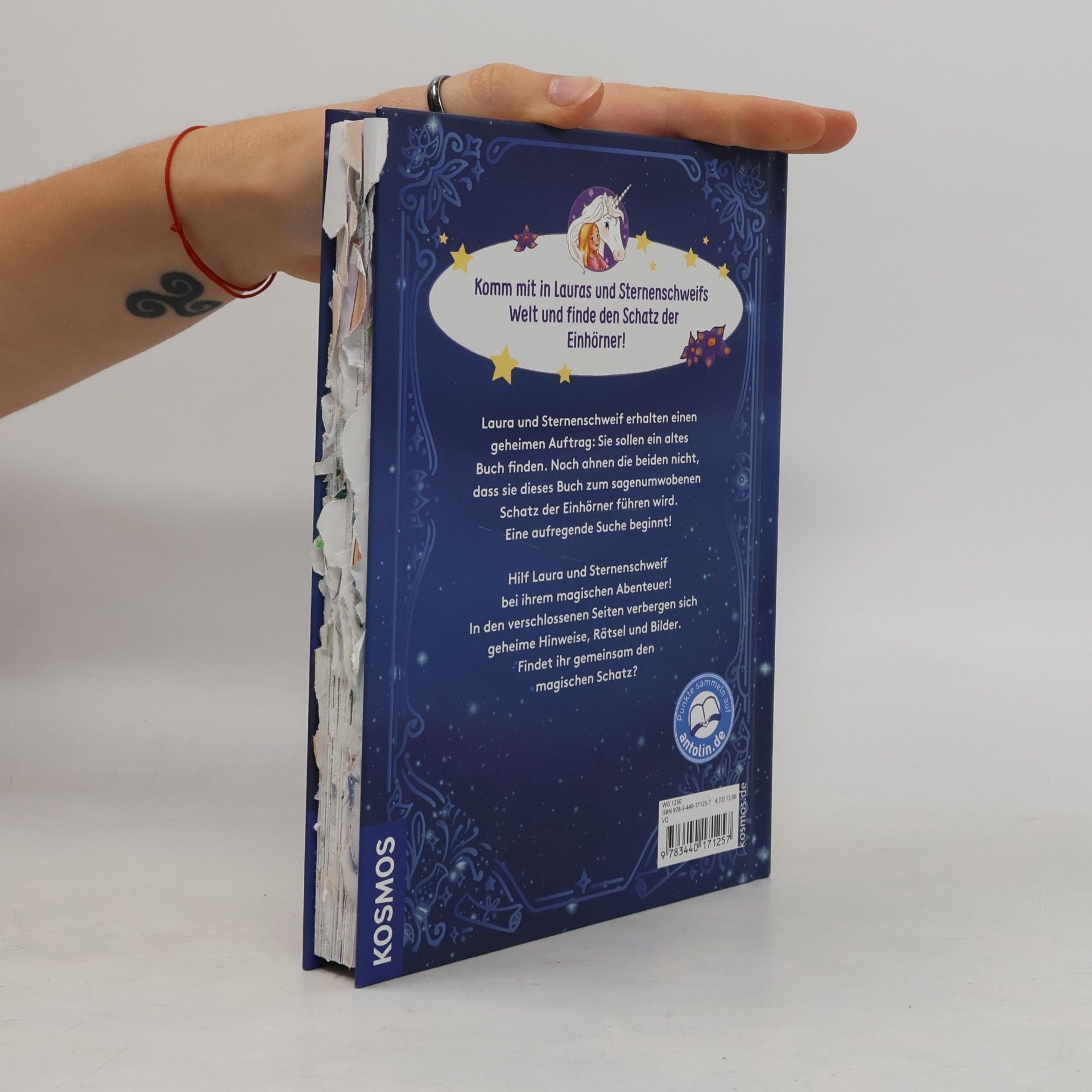 Linda Champan Sternenschweif. Das magische Buch